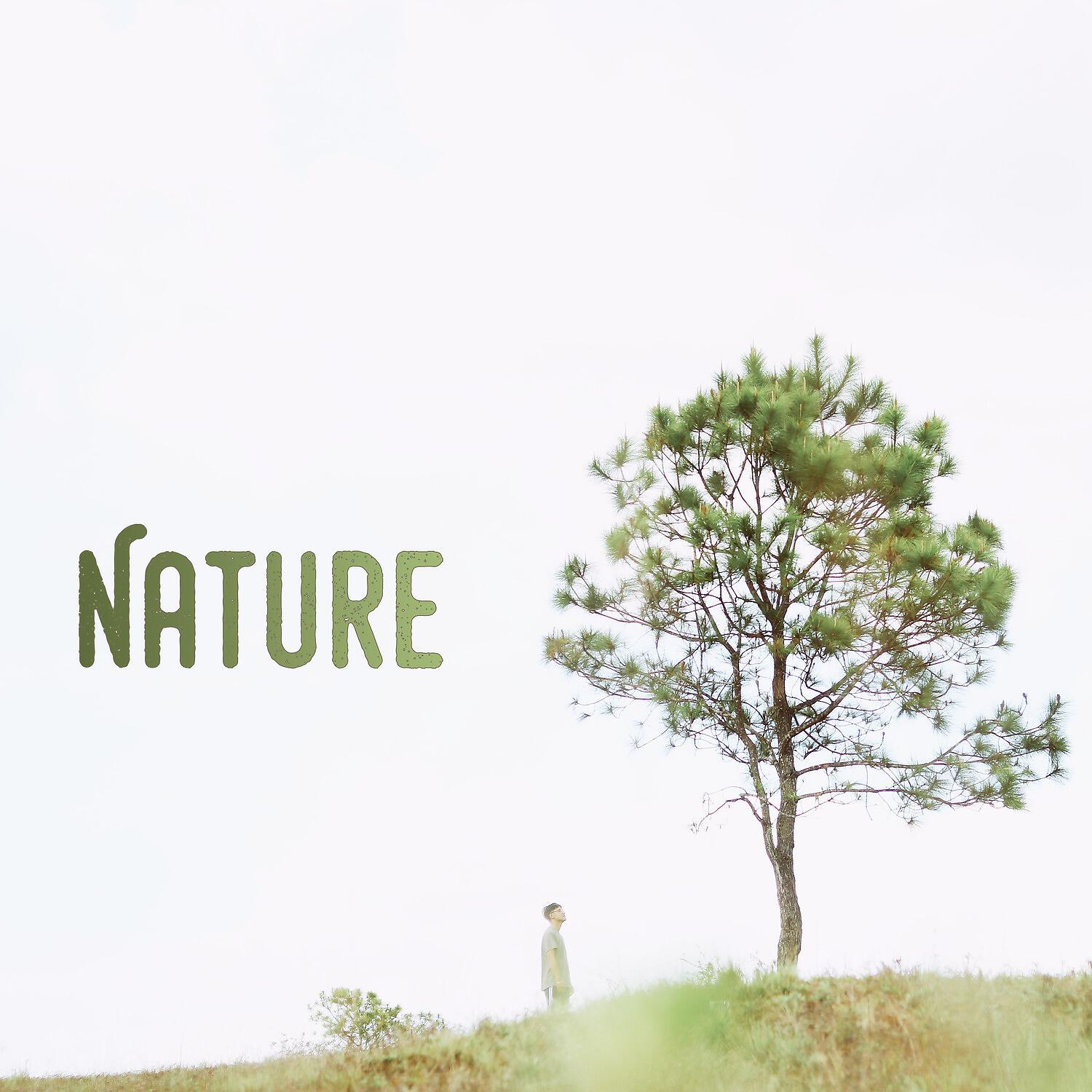 Релиз Nature