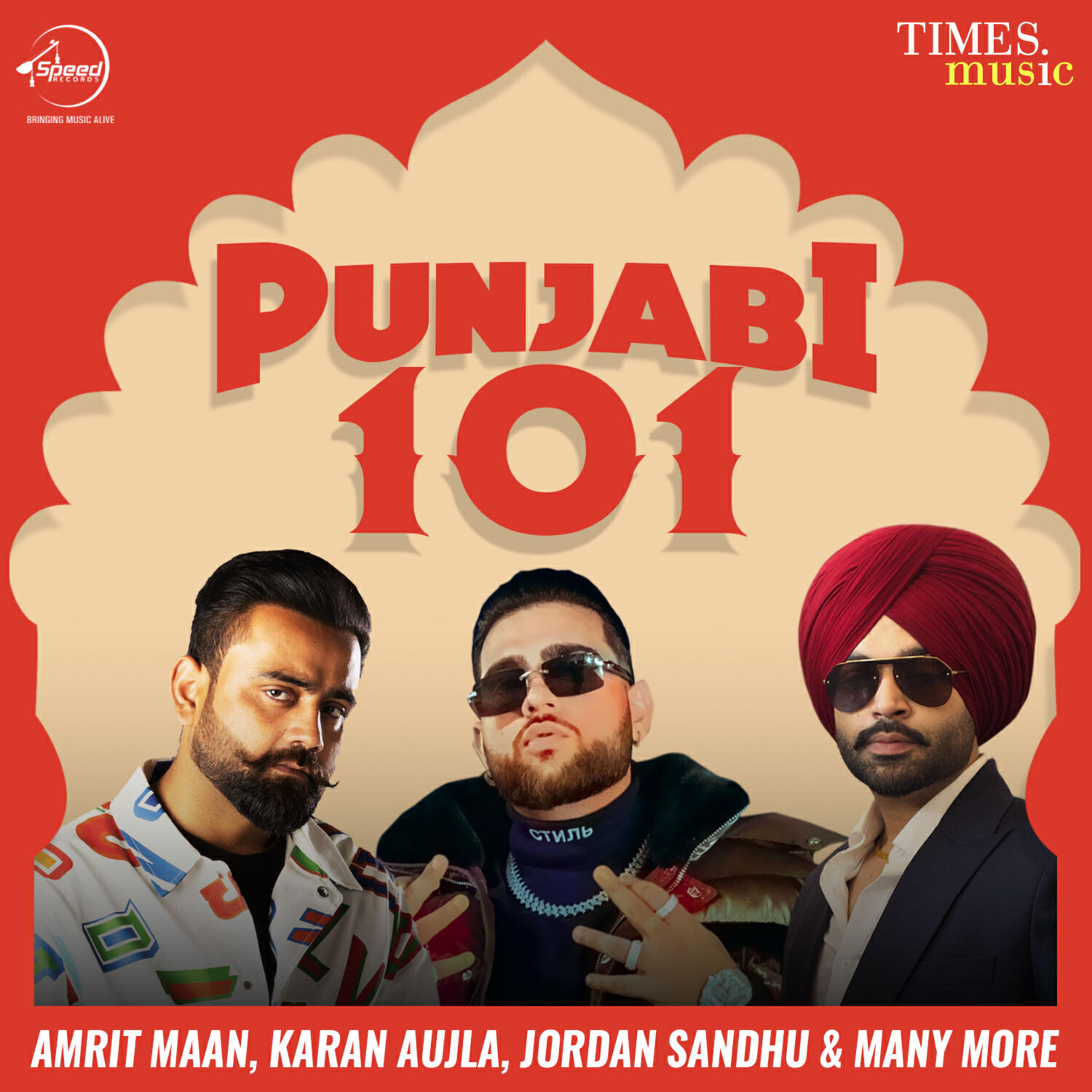 Релиз Punjabi 101