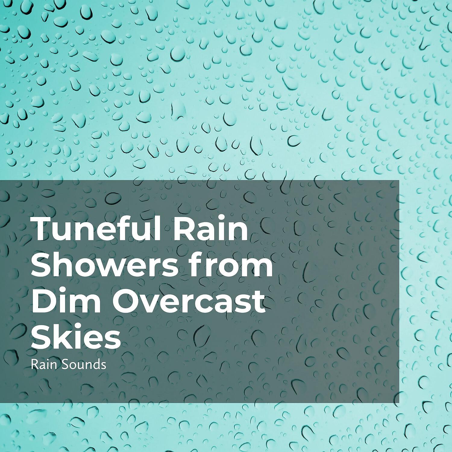 Релиз Tuneful Rain Showers from Dim Overcast Skies