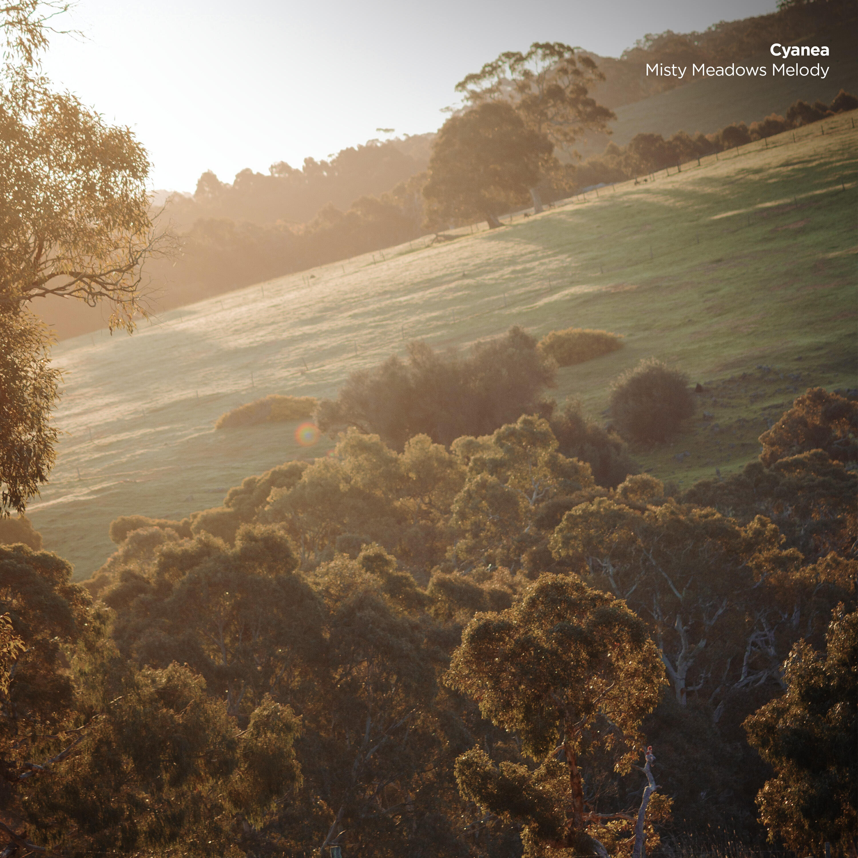 Релиз Misty Meadows Melody