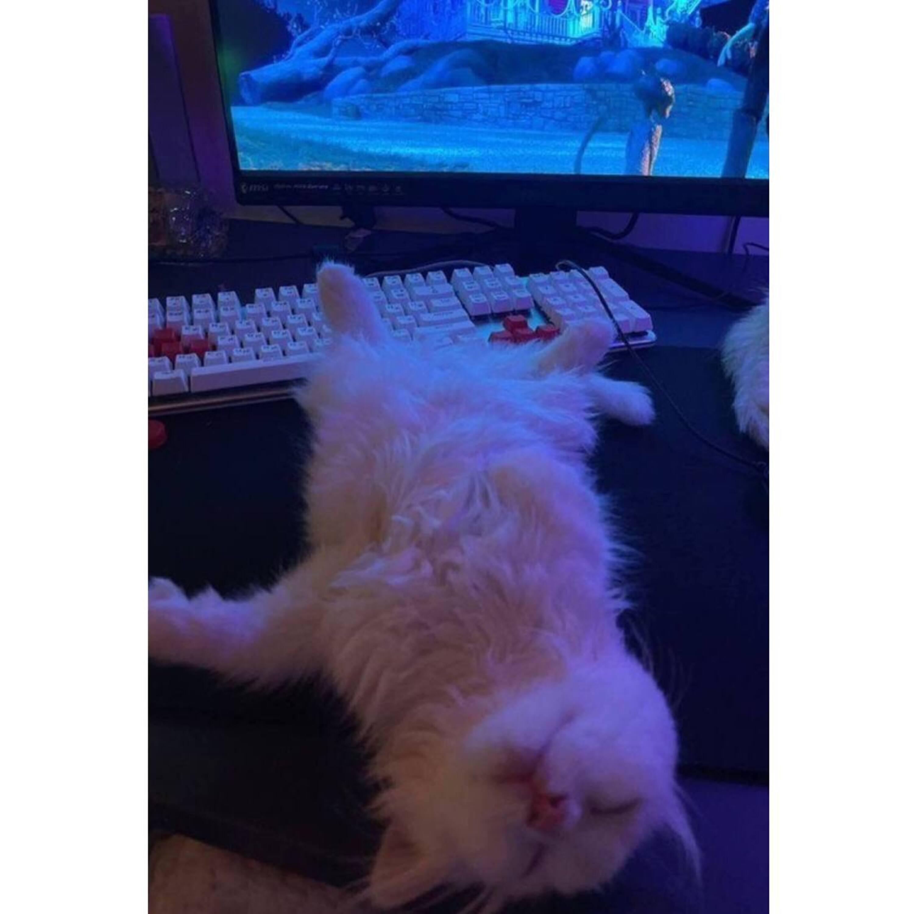 Trần Tuấn Kiệt