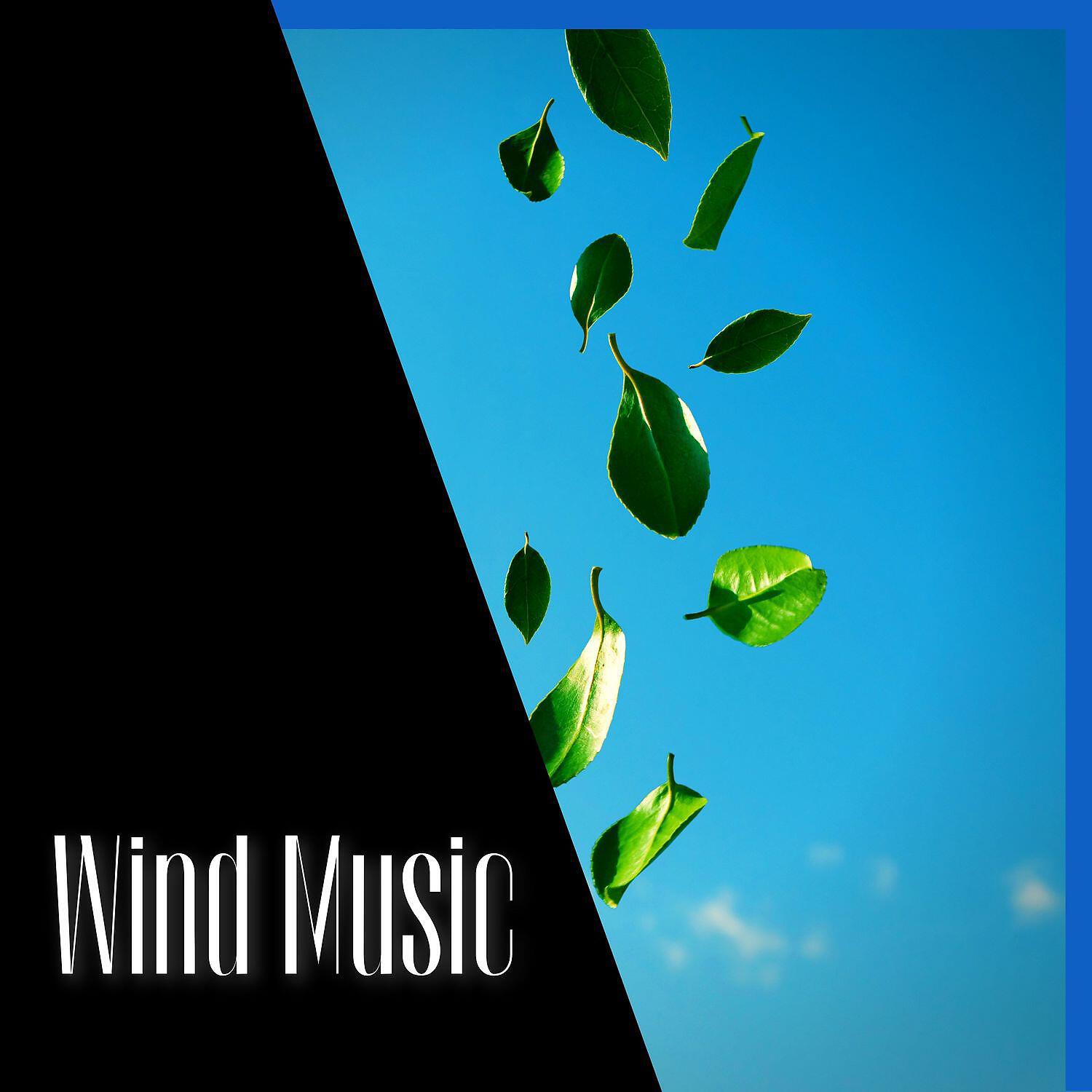 Релиз Wind Music, Natural Remedy, Sleep Well and Relax