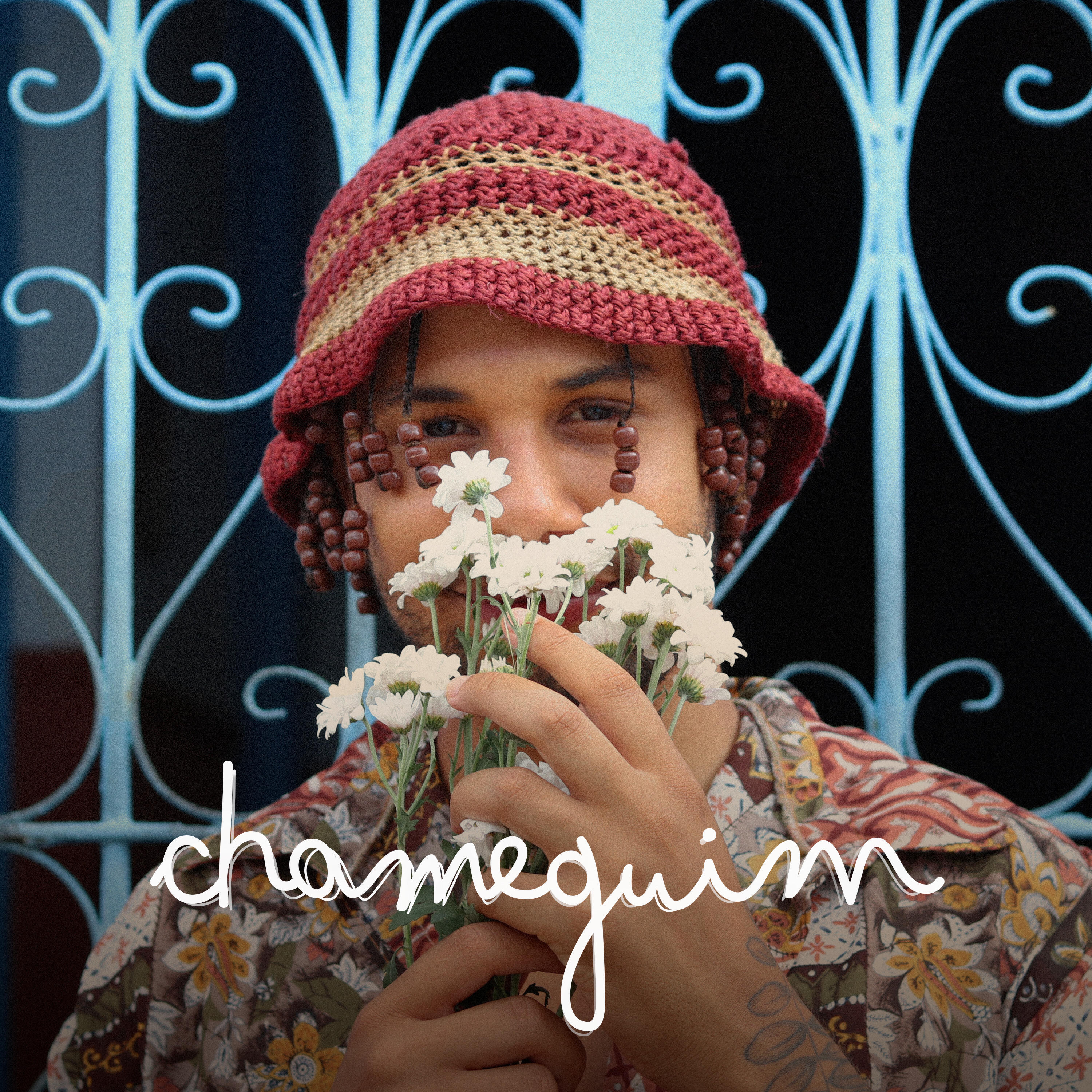 Релиз Chameguim