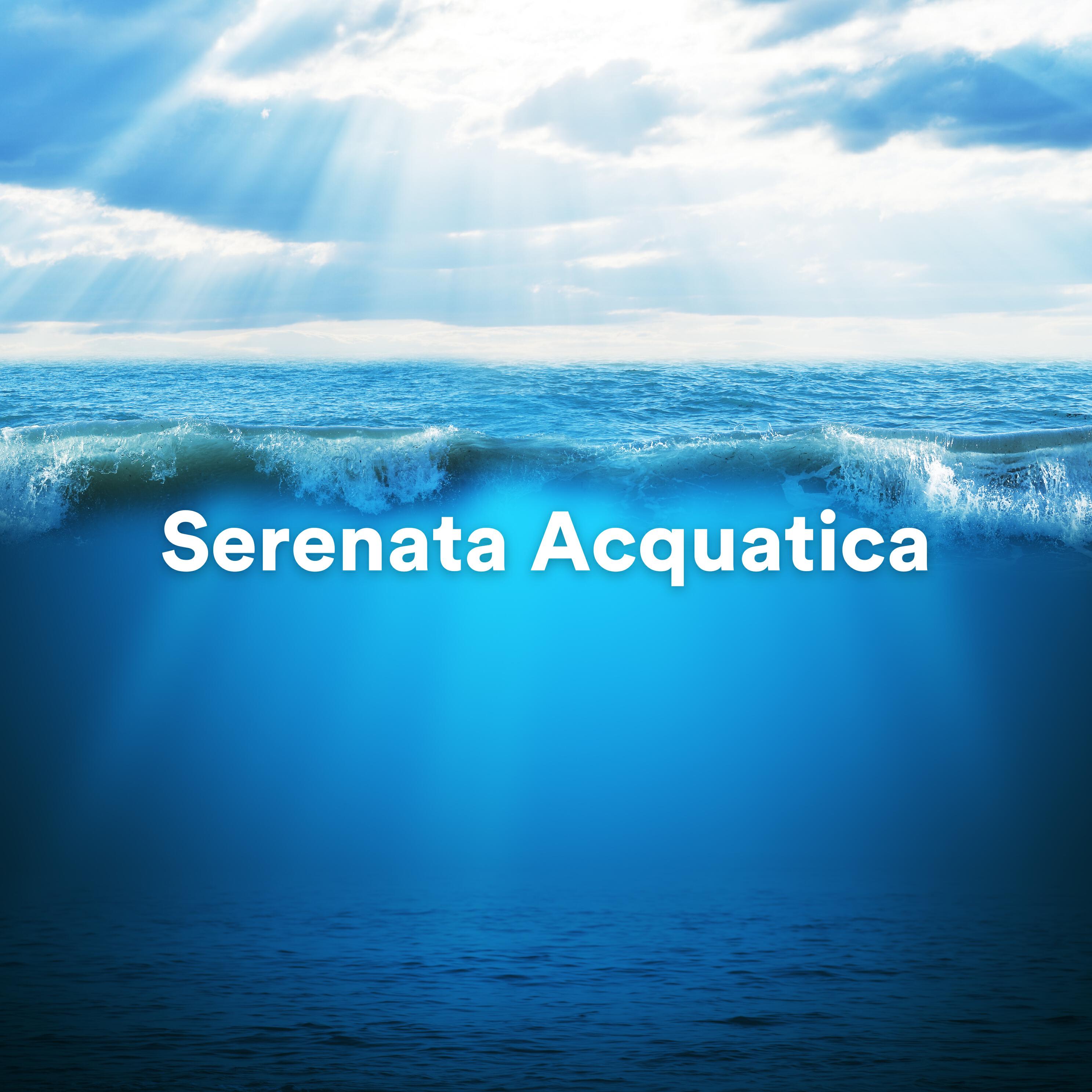 Релиз Serenata Acquatica