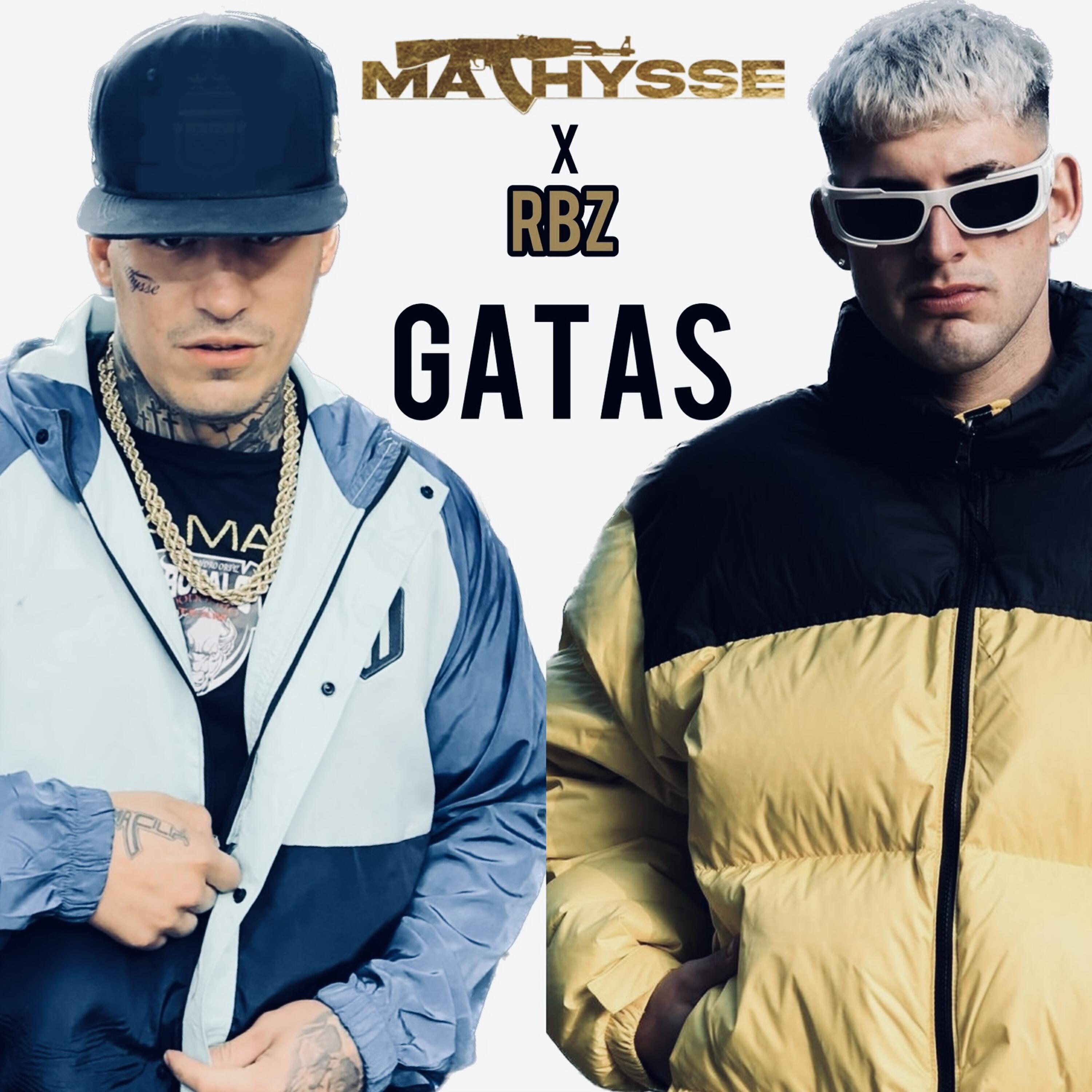 Релиз Gatas