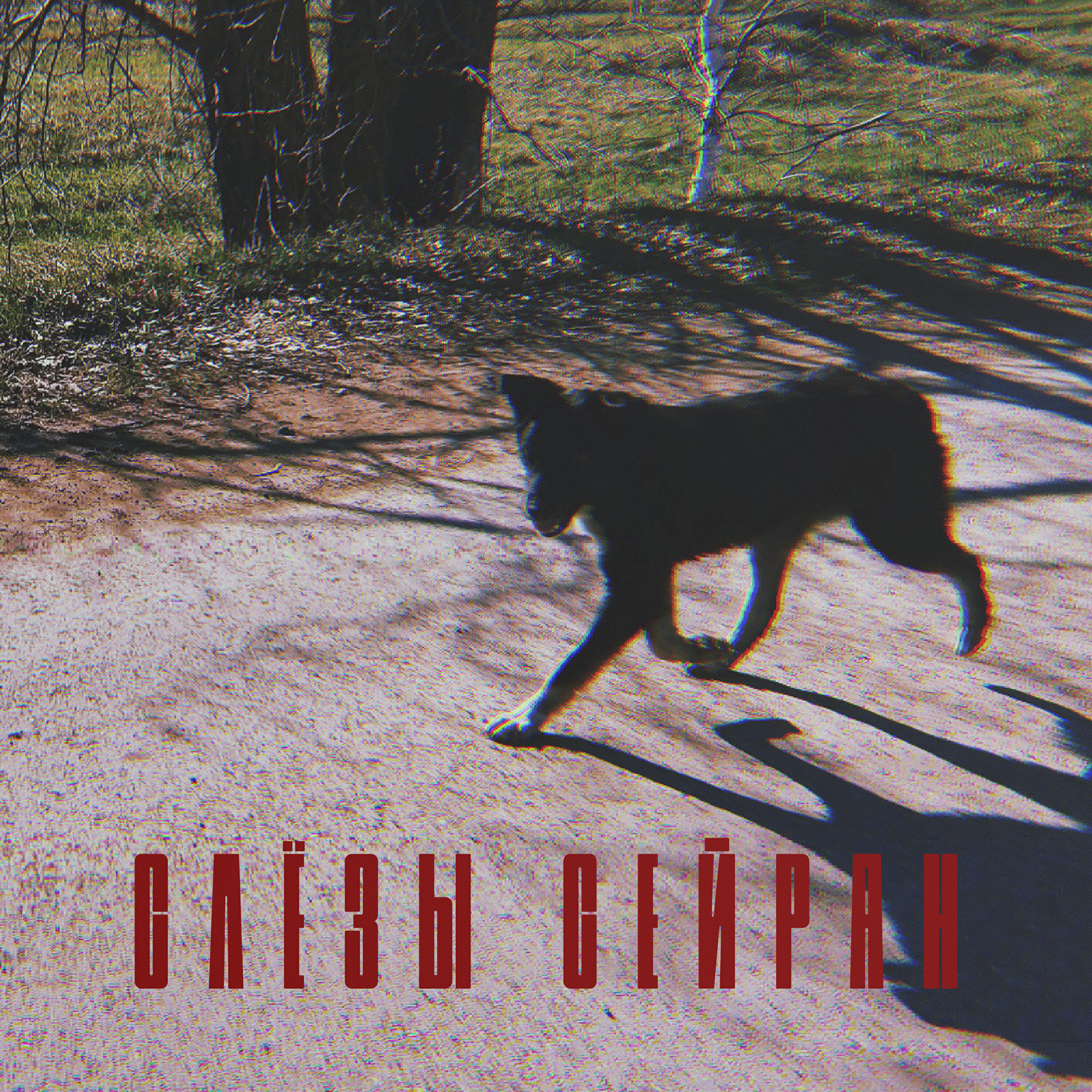 Релиз Пёс