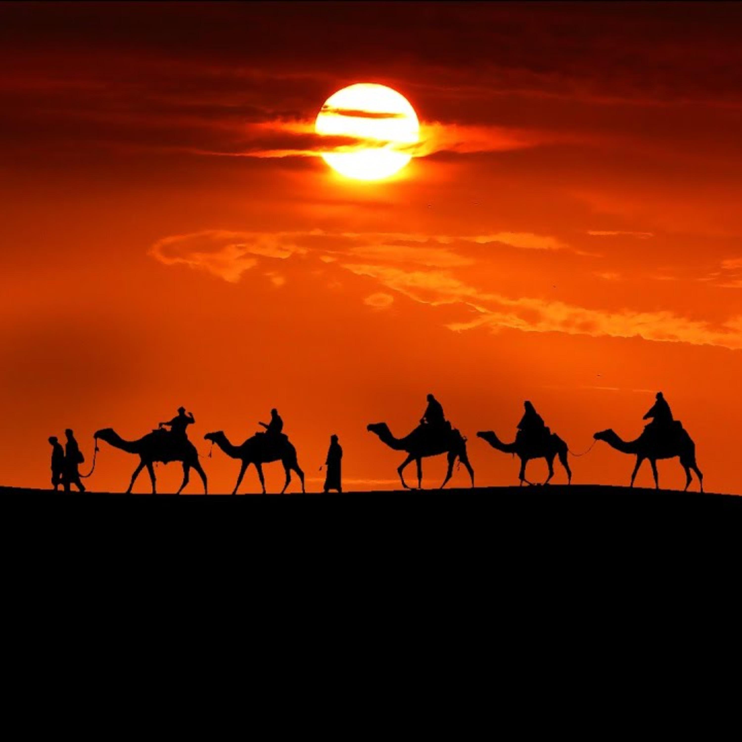 Релиз Arabiška naktis