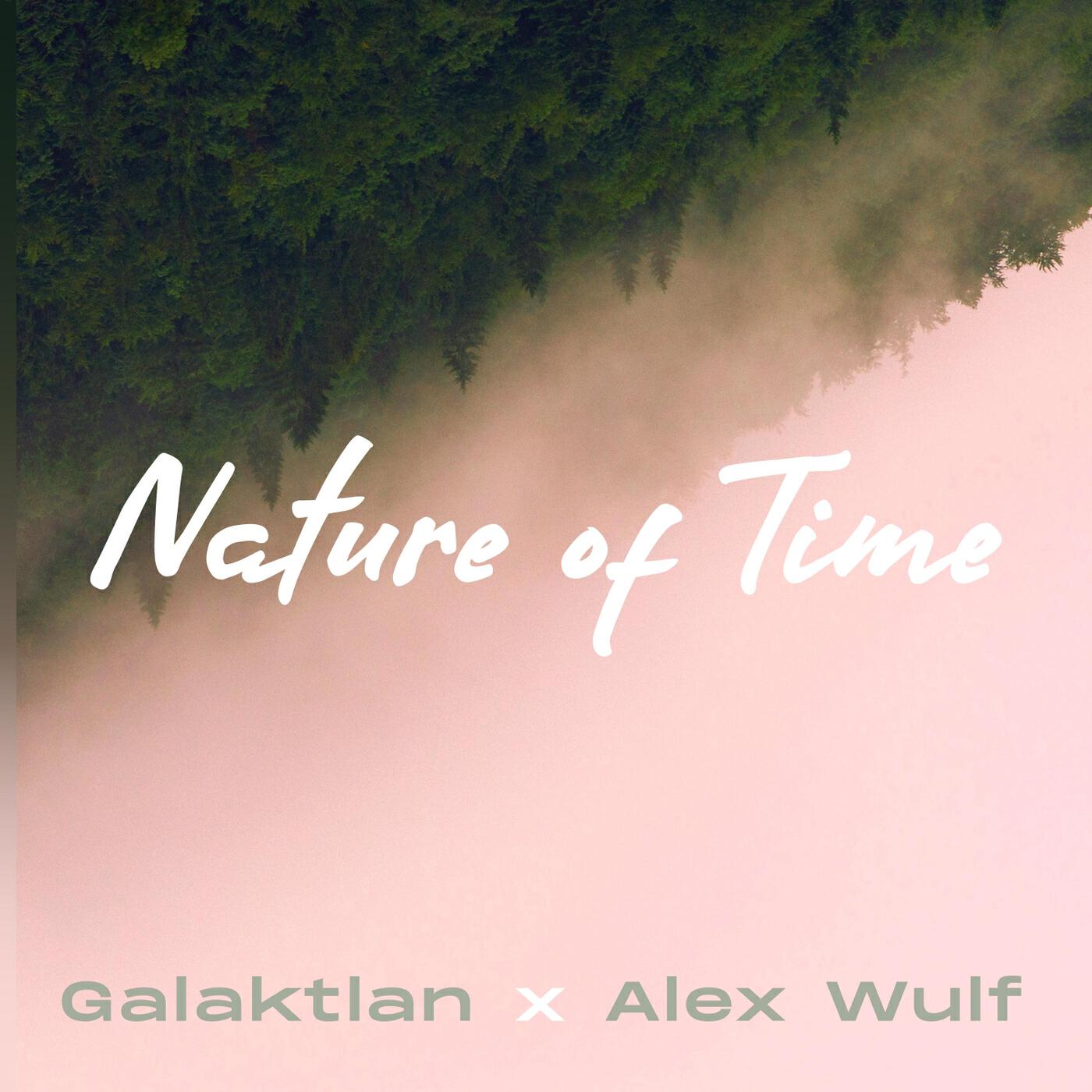 Alex Wulf
