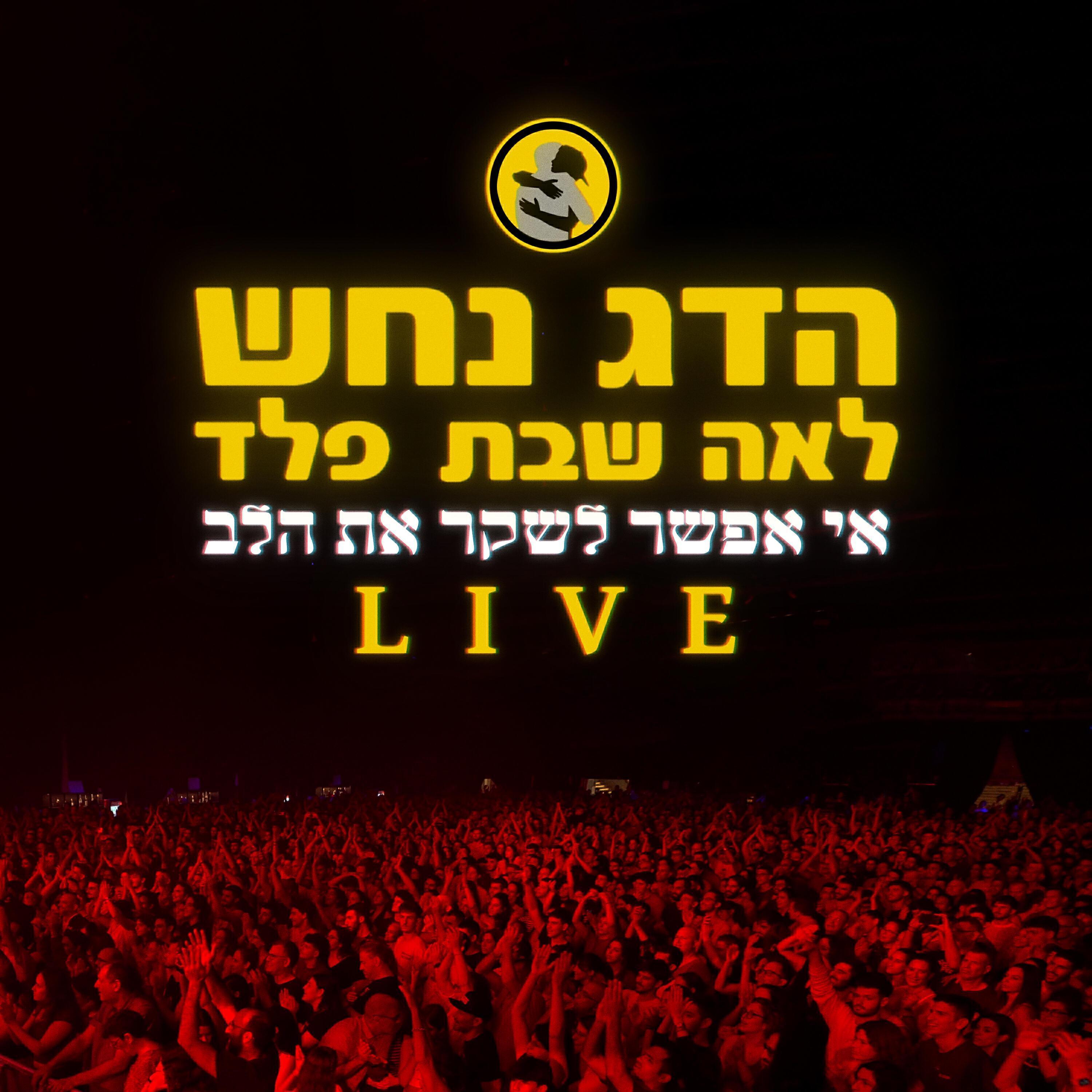 פלד все песни в mp3