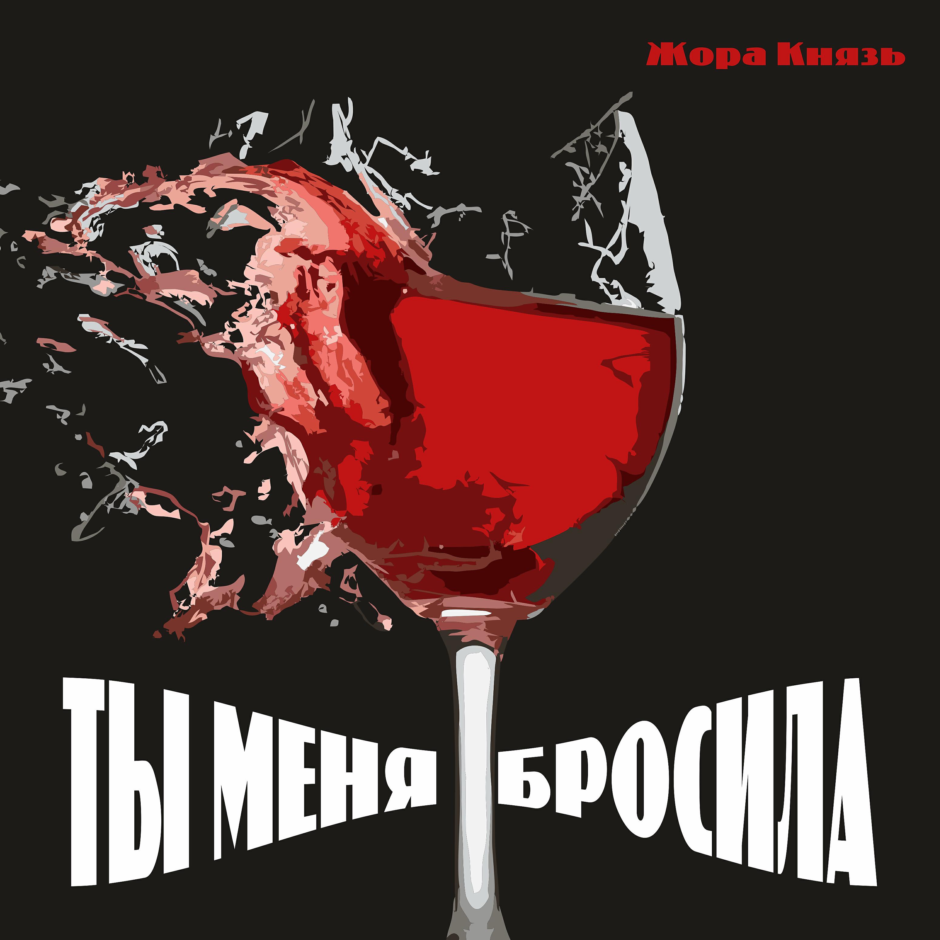 Постер альбома Ты меня бросила