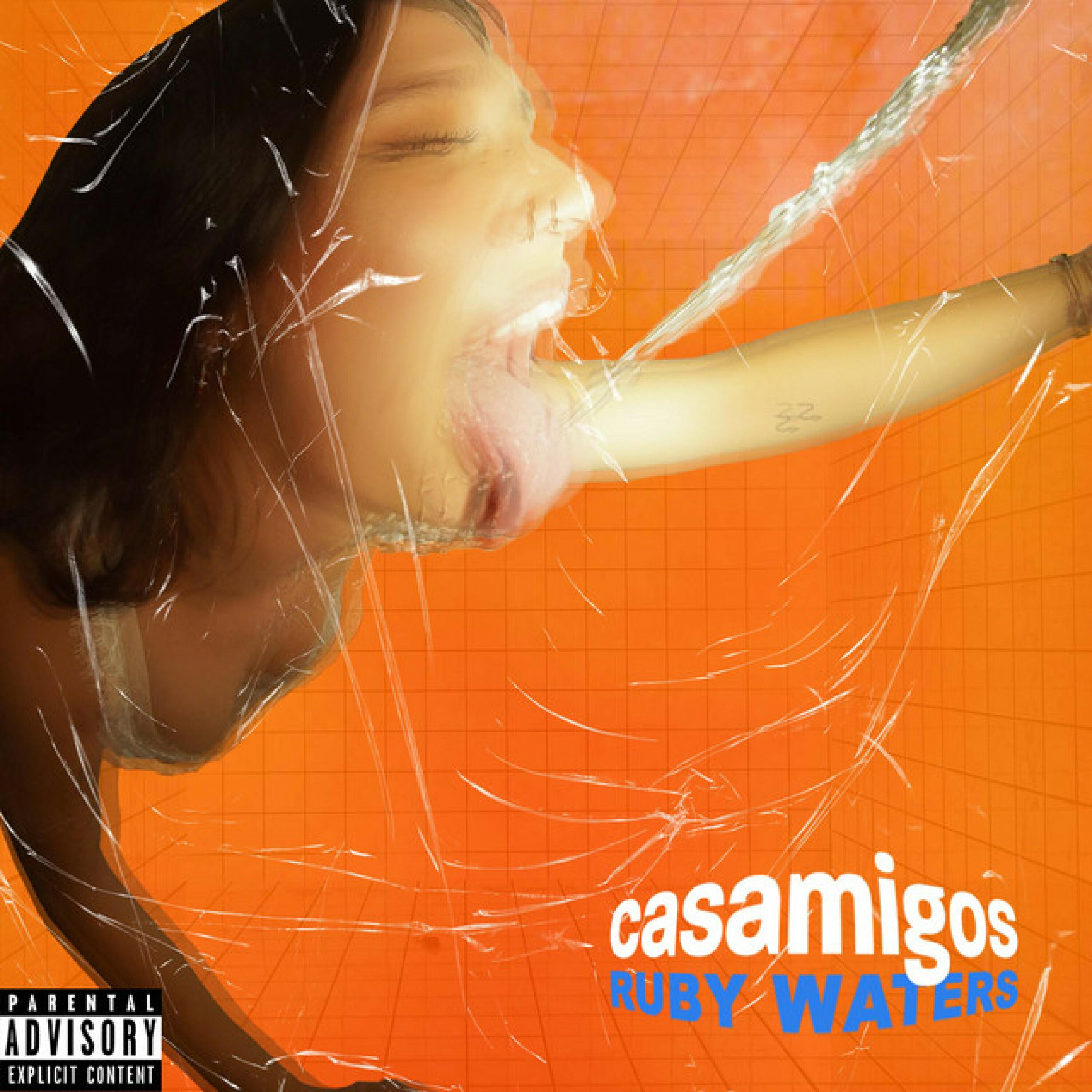 Релиз Casamigos