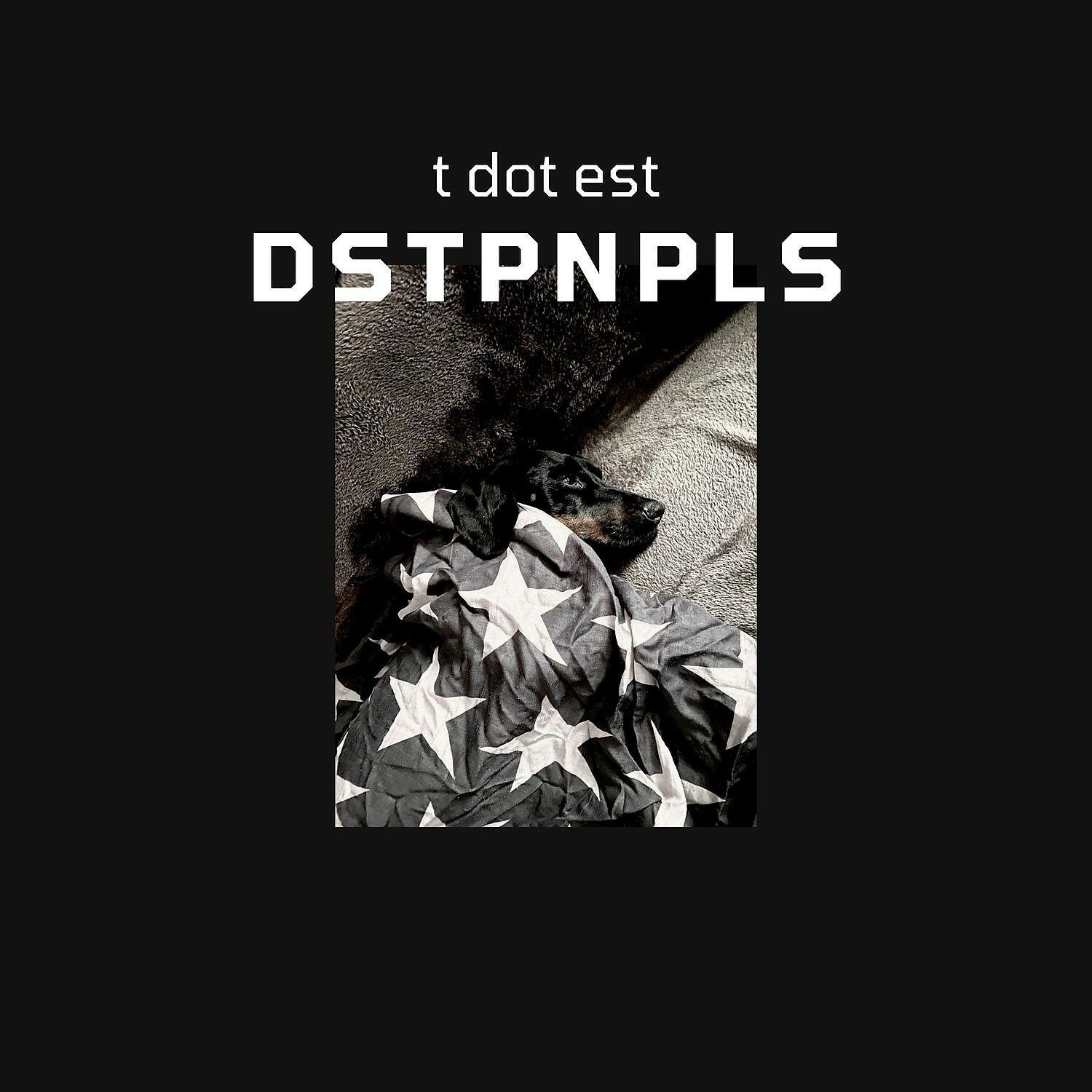 Релиз DSTPNPLS