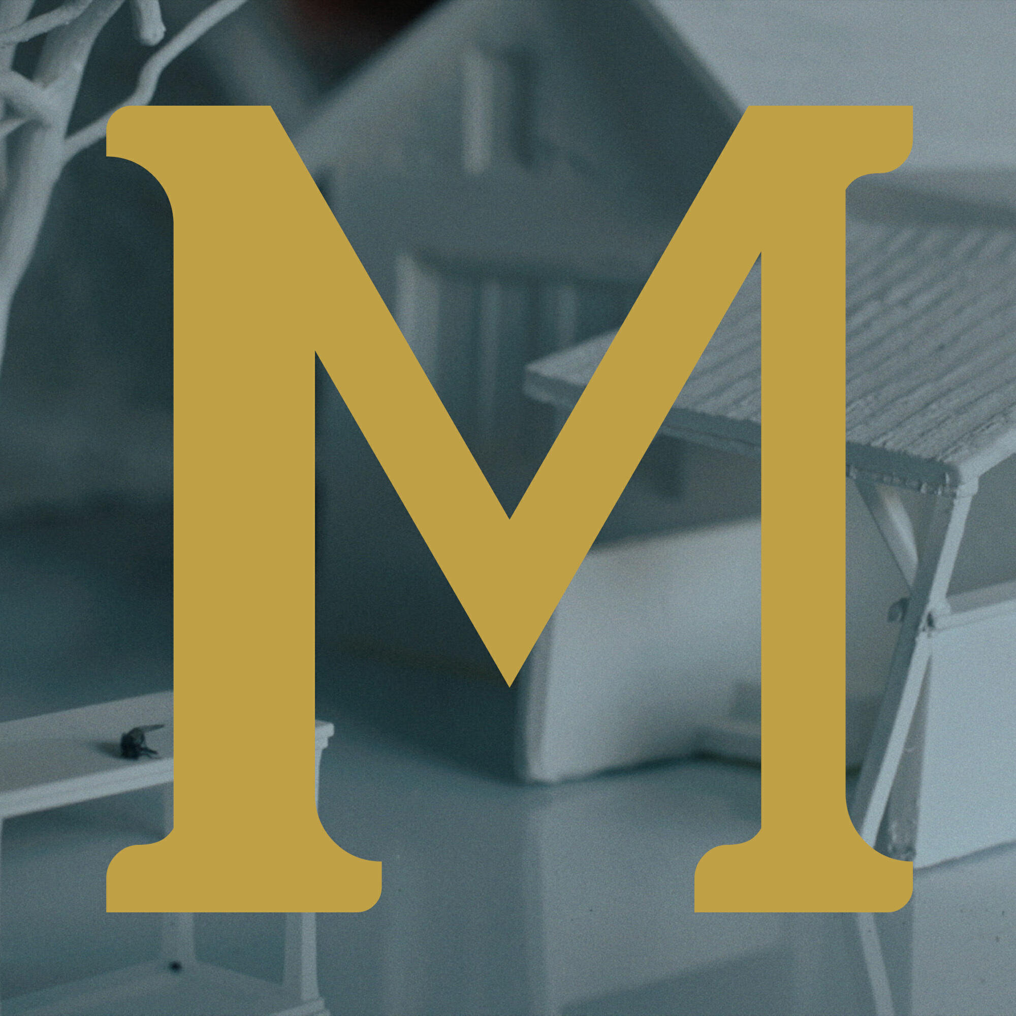 Релиз Muve