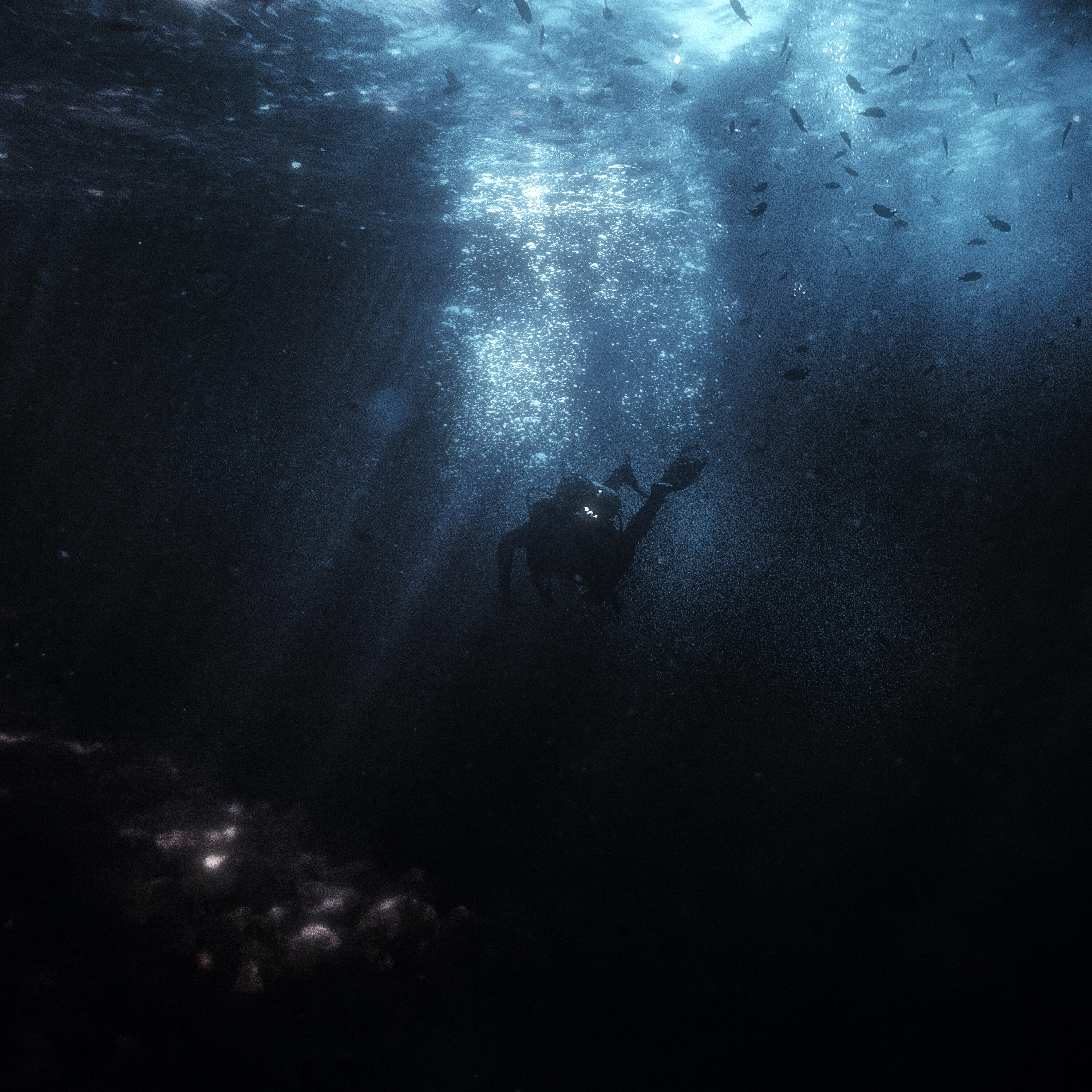 Постер альбома Immersion