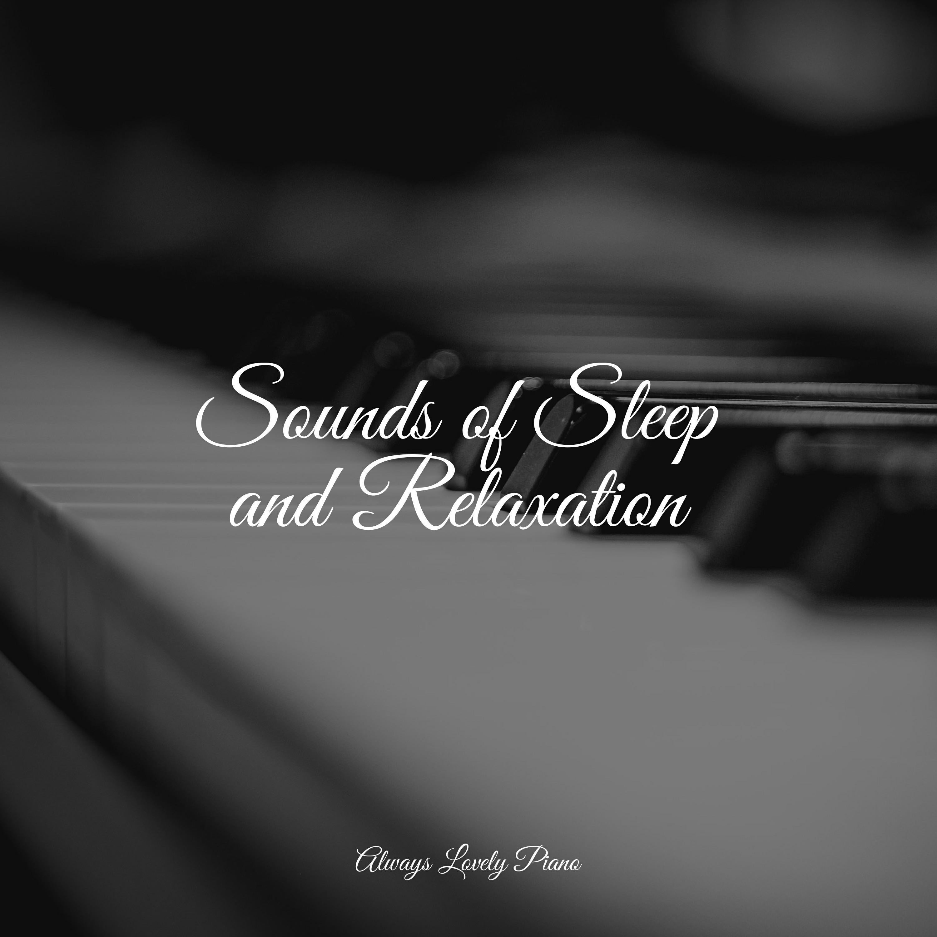 Релиз Sounds of Sleep and Relaxation