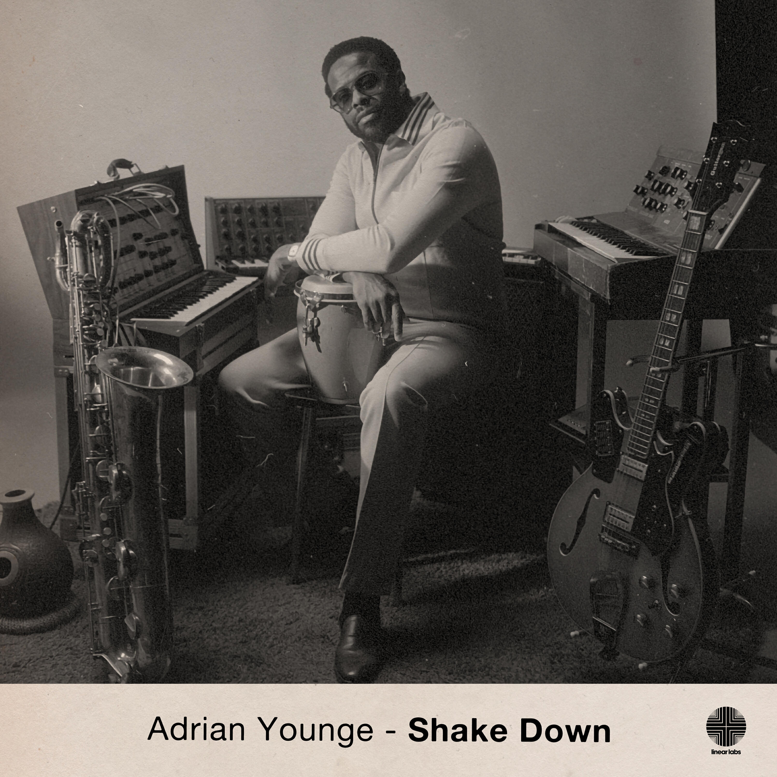 Релиз Shake Down