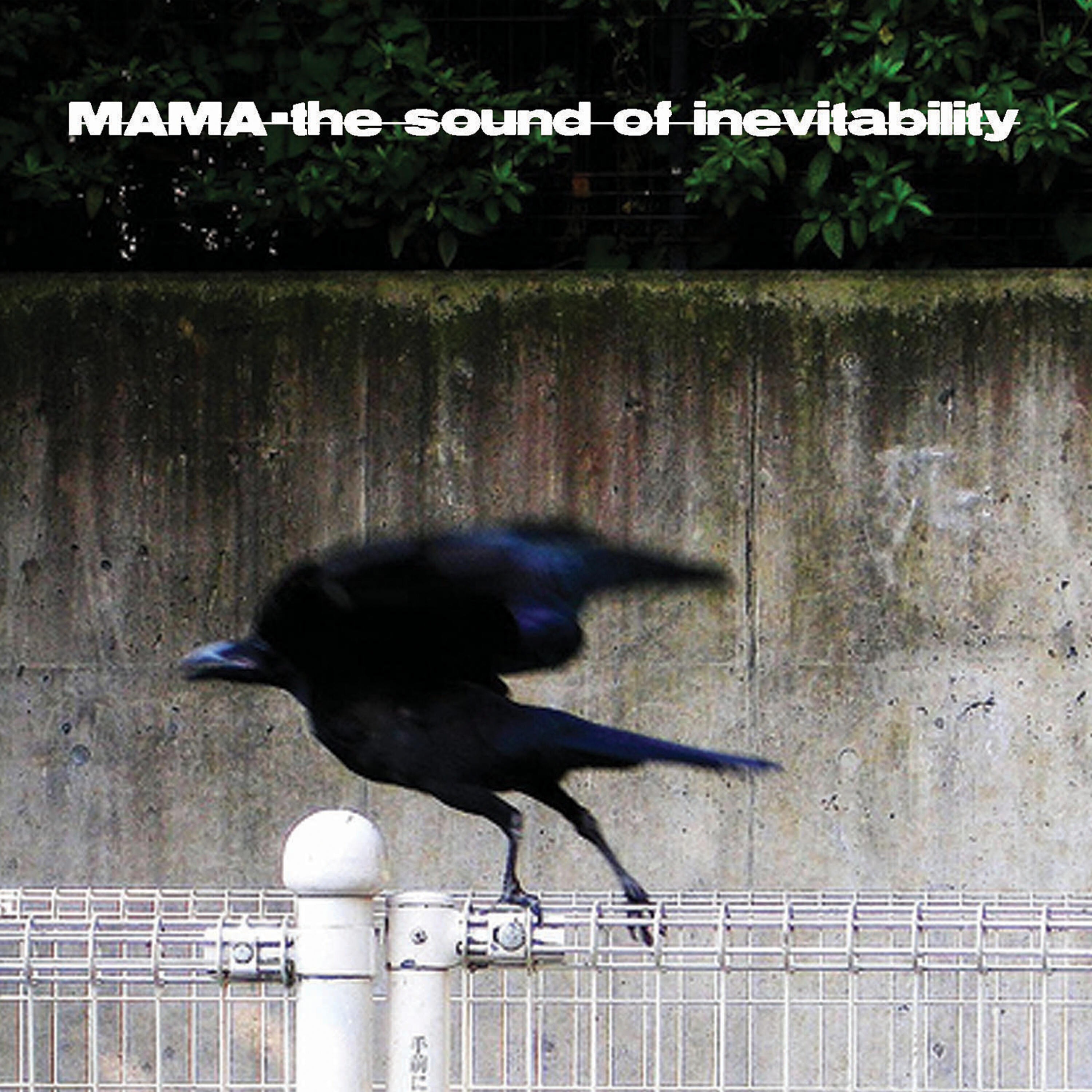 Релиз The Sound Of Inevitability