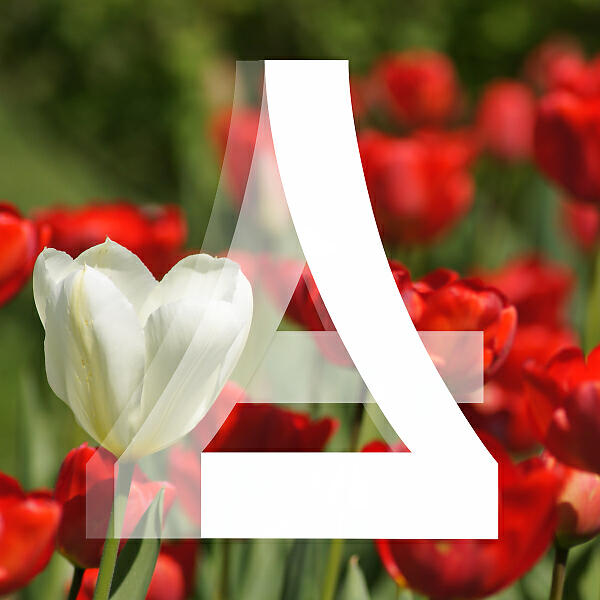 Archange7