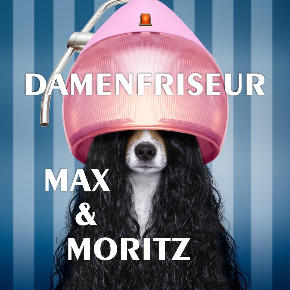 Релиз Damenfriseur