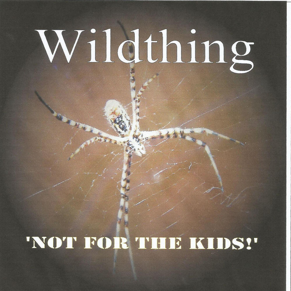 Релиз Not for the Kids