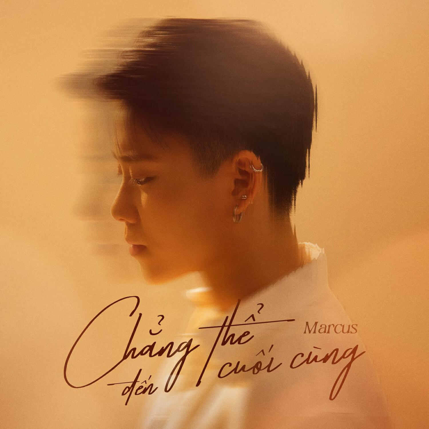 Релиз Chẳng Thể Đến Cuối Cùng