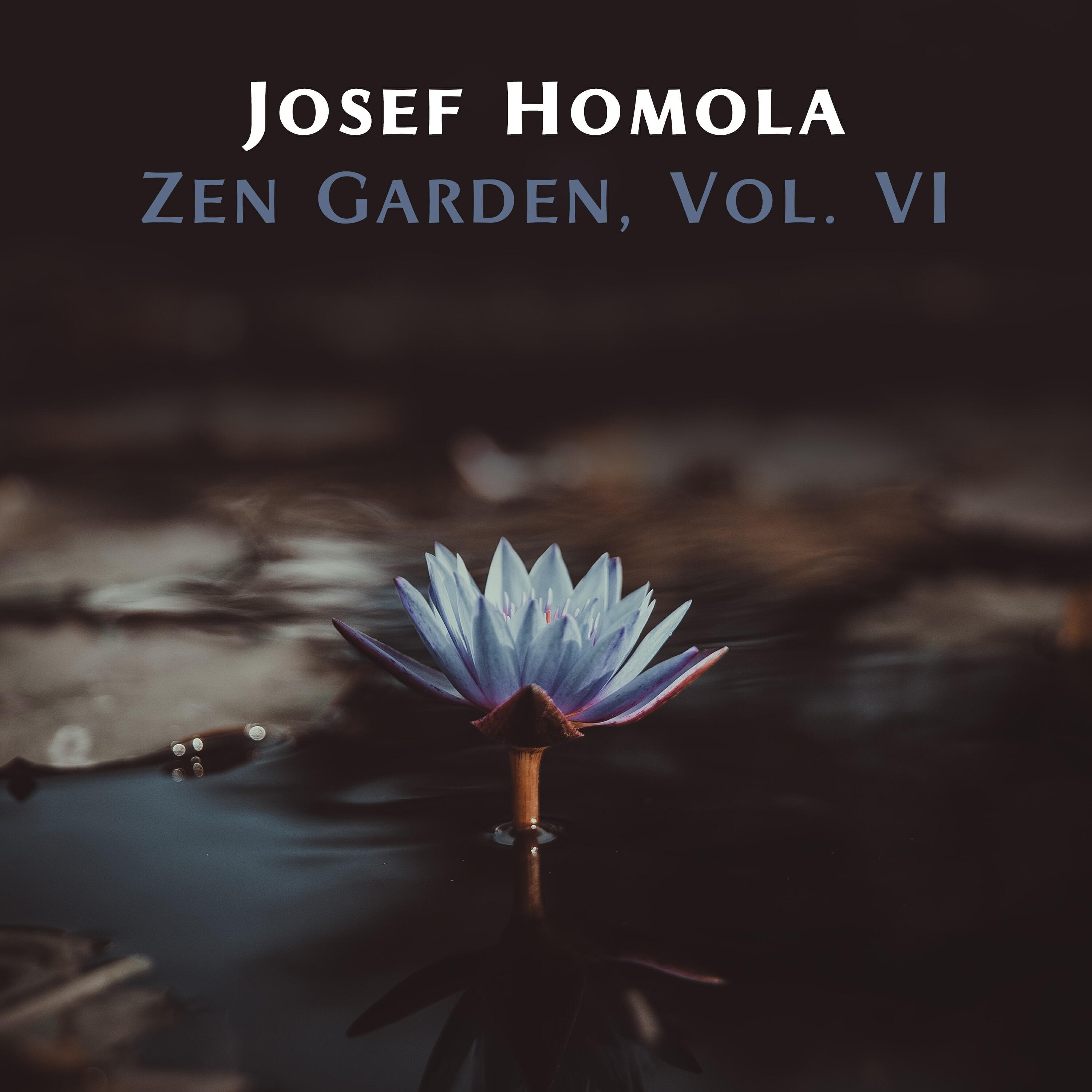 Релиз Zen Garden, Vol. VI