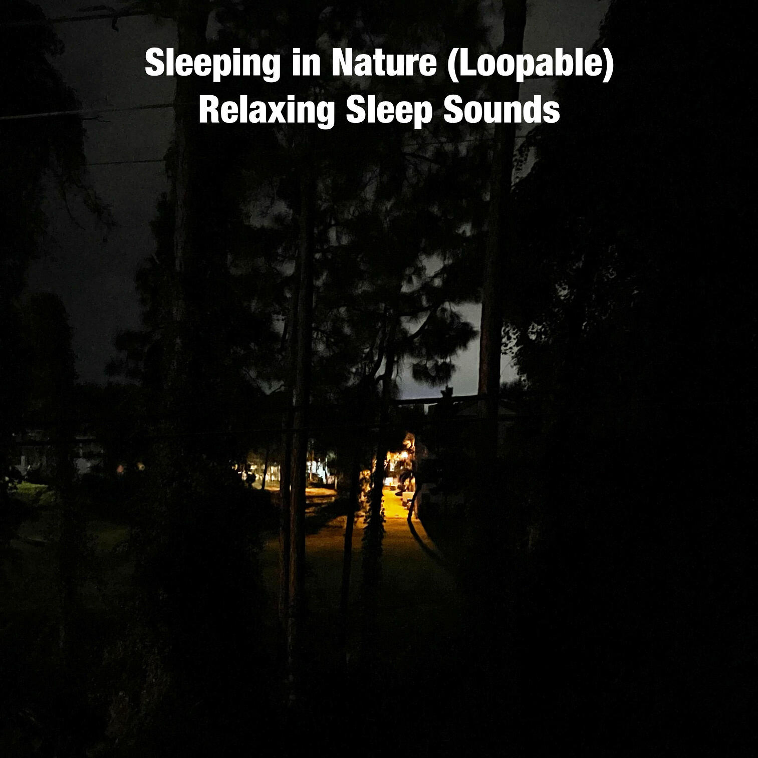 Relaxing Sleep Sounds