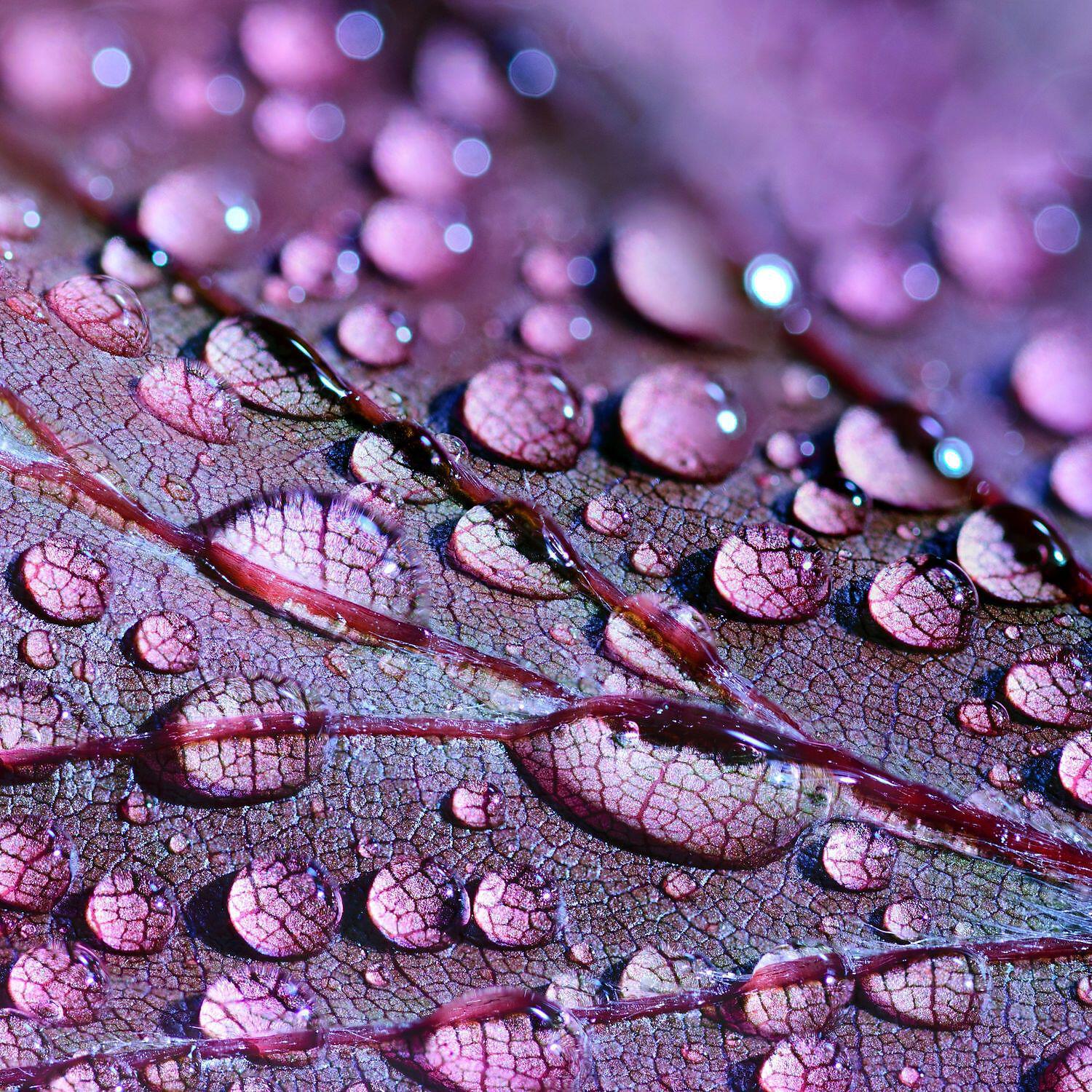 Релиз Rain Chill Noise For Relax