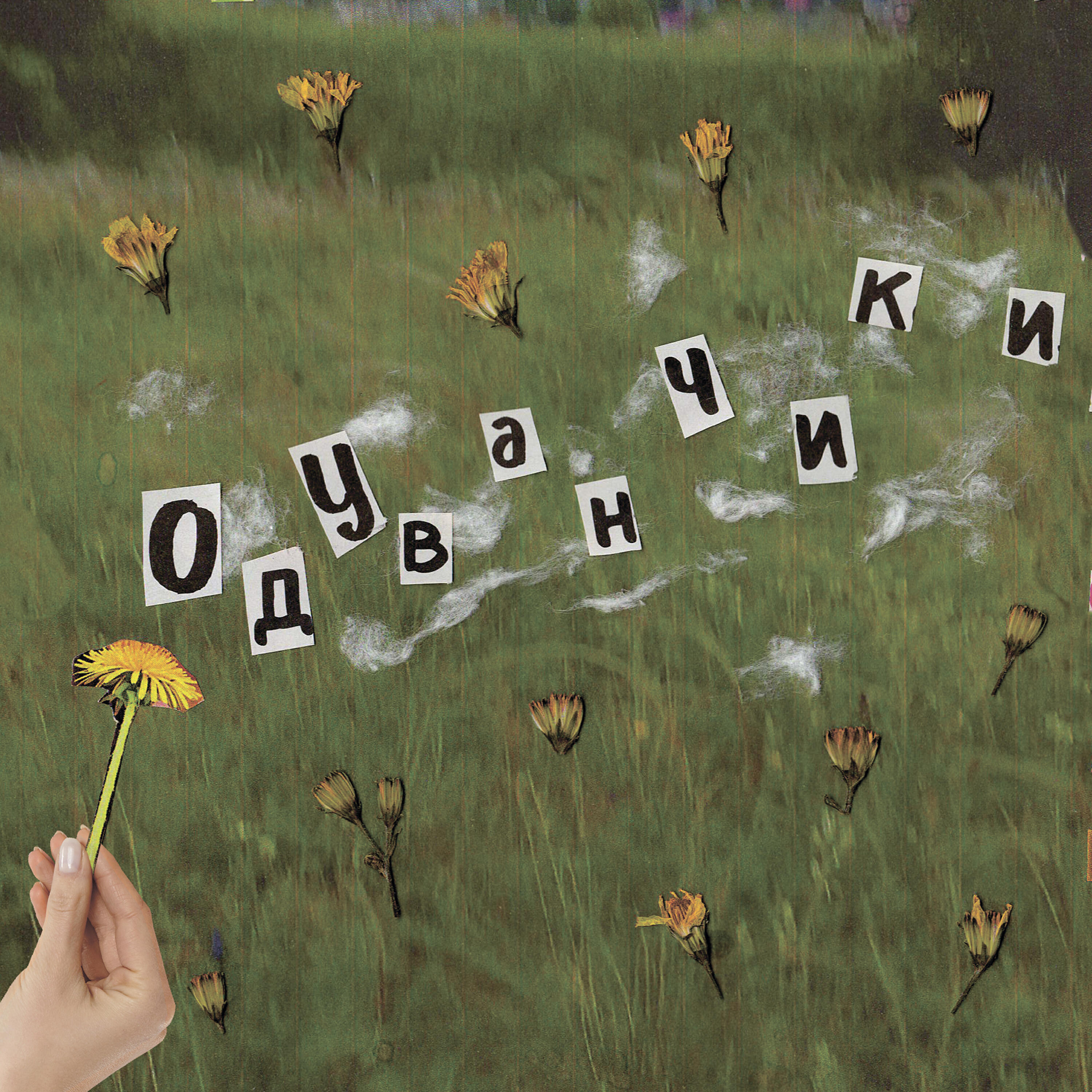 Релиз Одуванчики