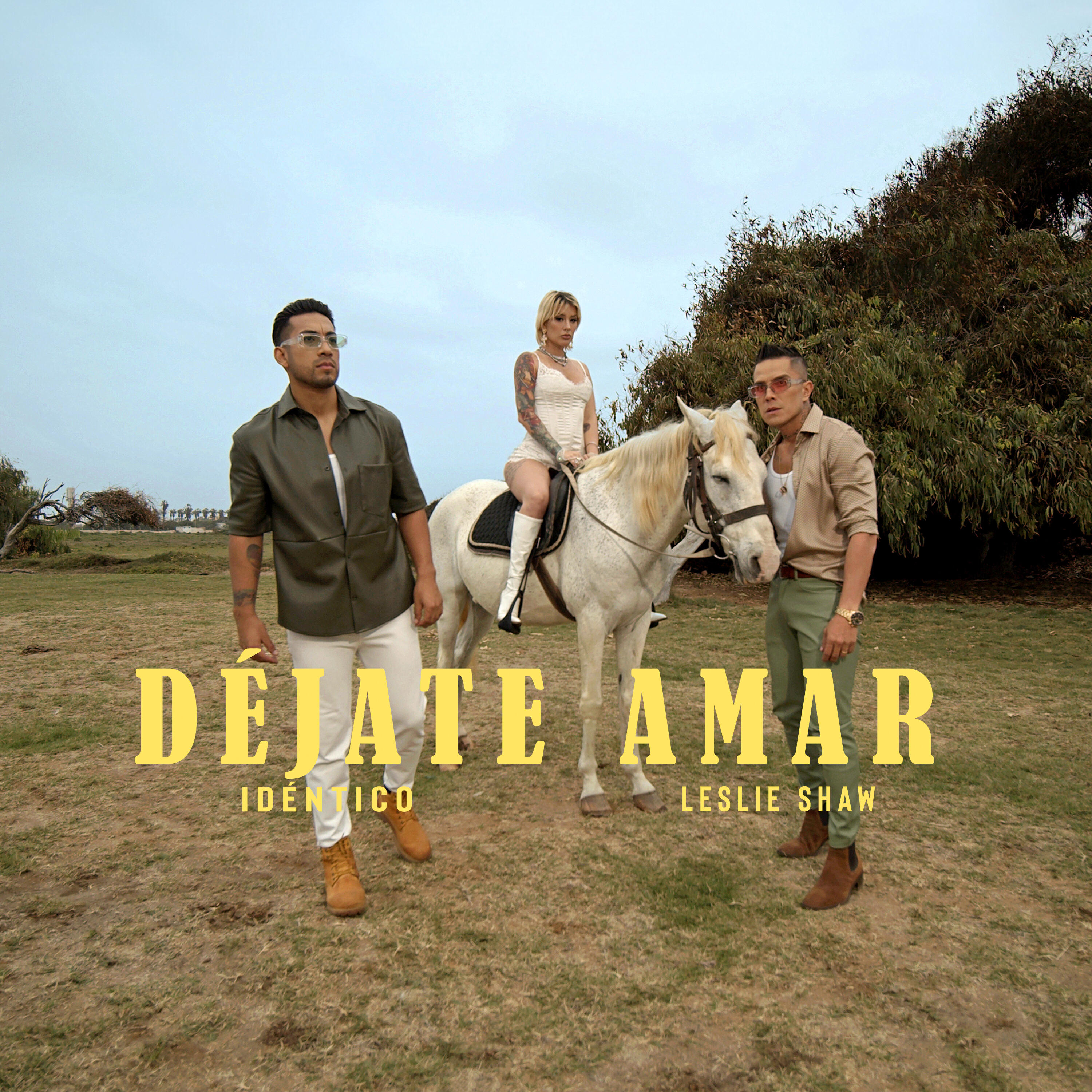 Постер альбома Dejate Amar