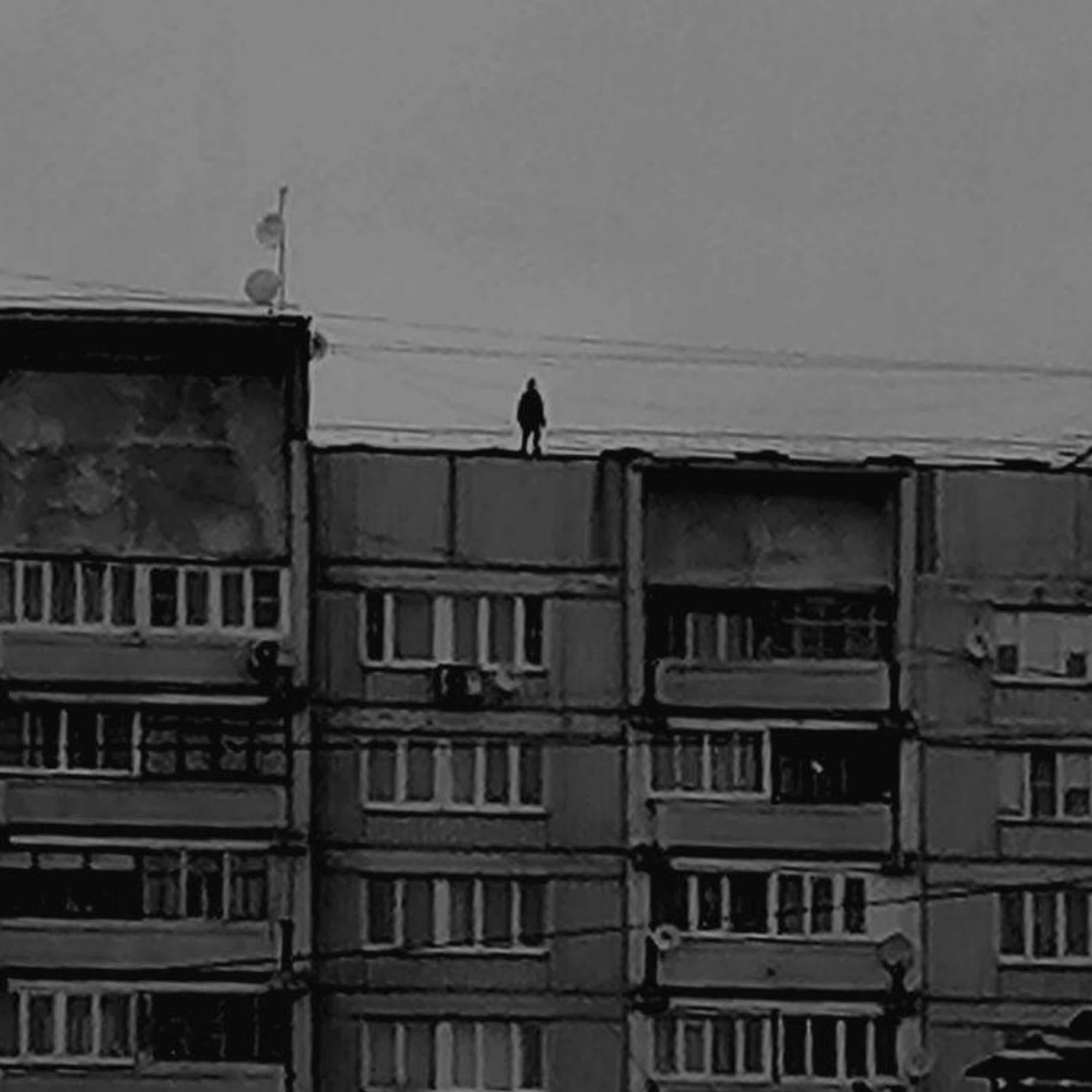 Релиз Осень