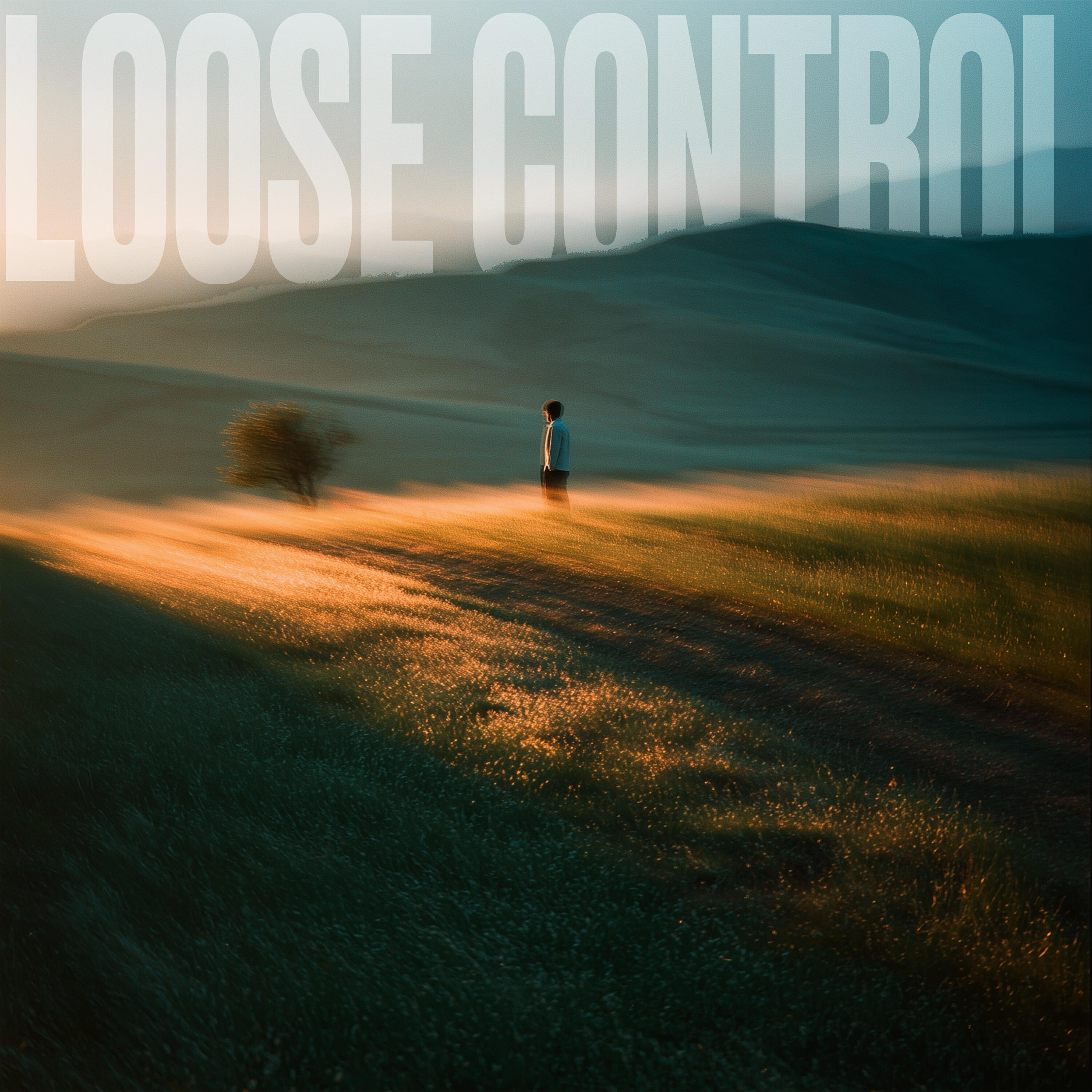 Релиз loose control