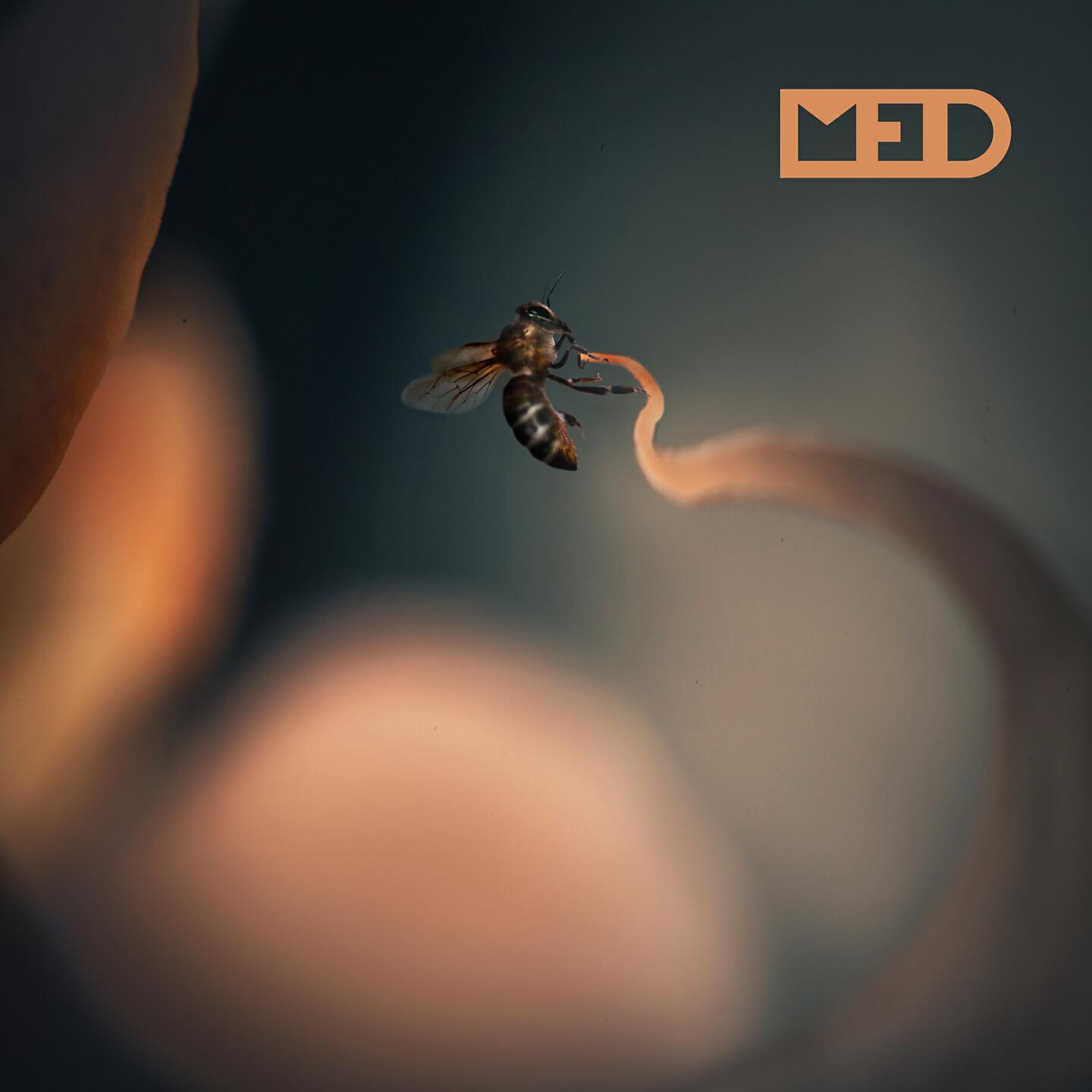 Релиз Med
