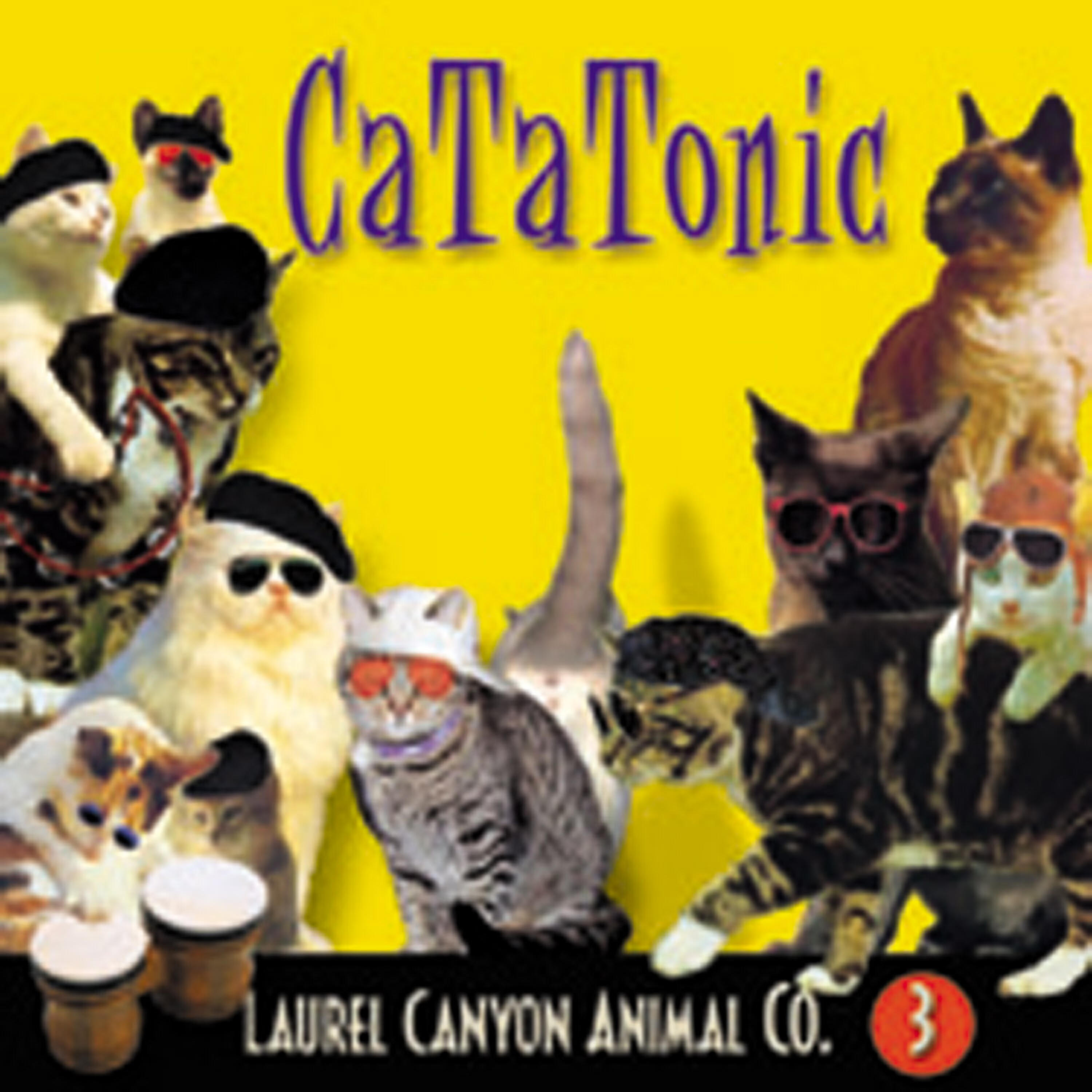 Релиз Cat-A-Tonic
