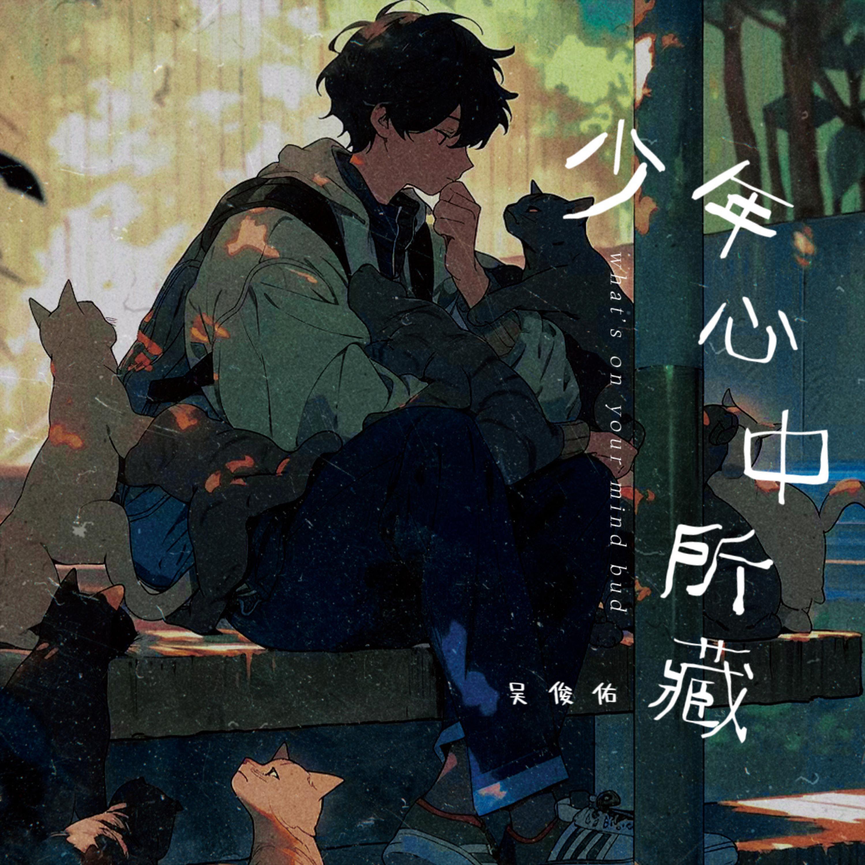 Релиз 少年心中所藏