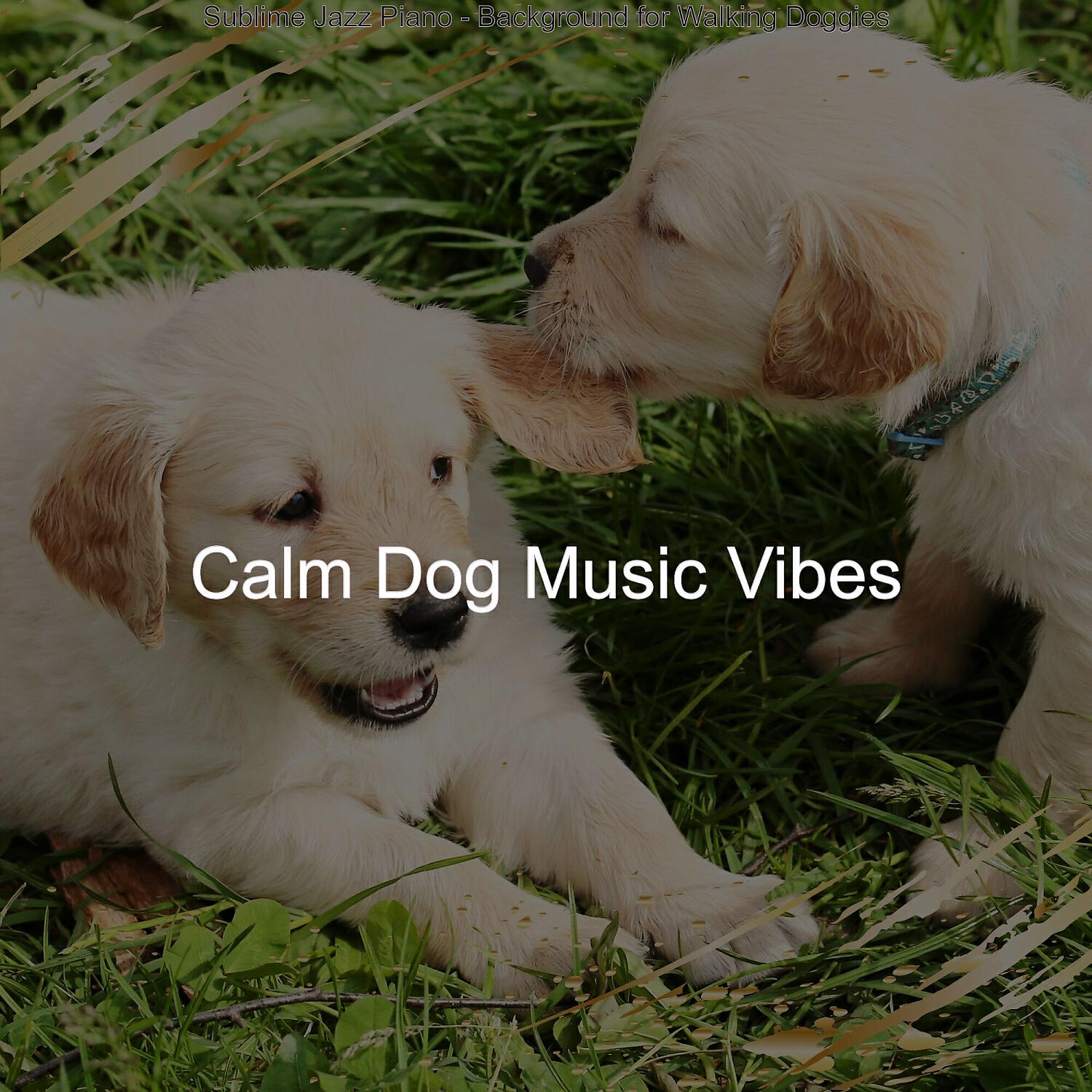 Calm Dog Music Vibes