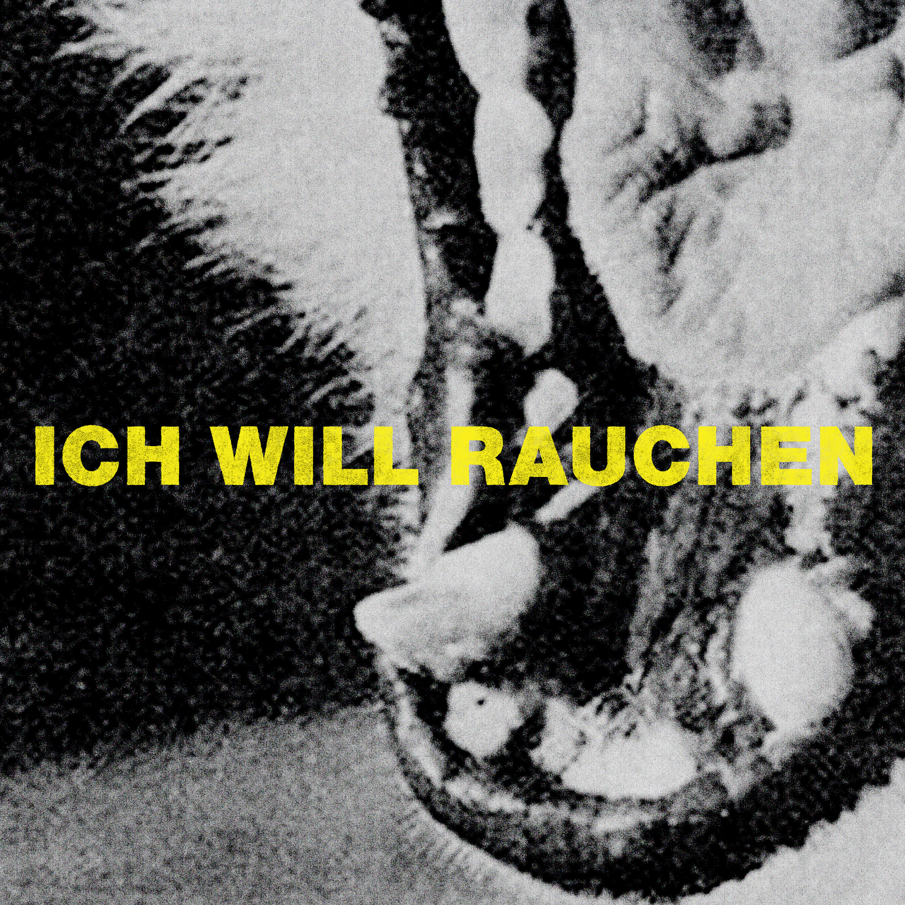 Релиз Ich will rauchen