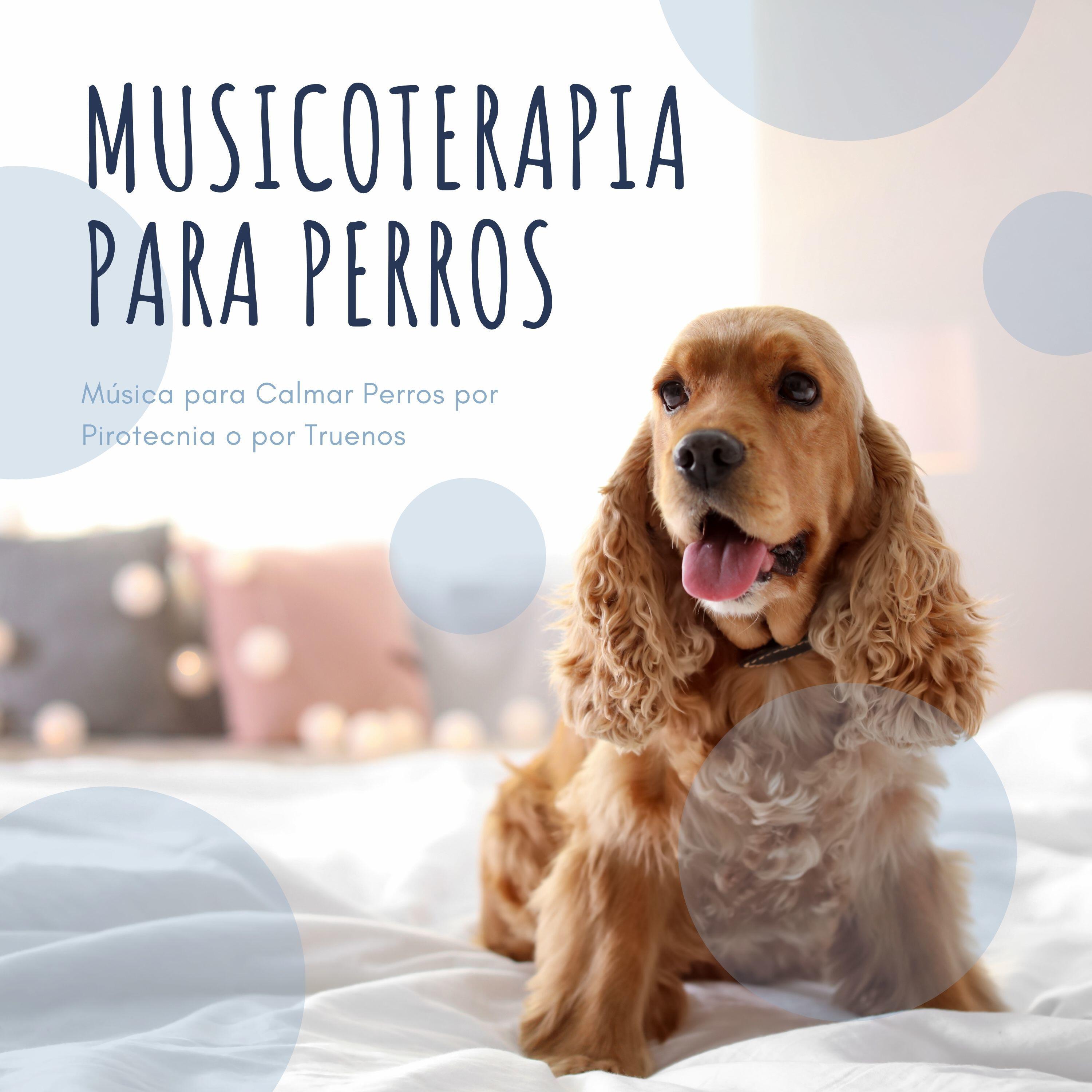 Релиз Musicoterapia para Perros: Música para Calmar Perros por Pirotecnia o por Truenos
