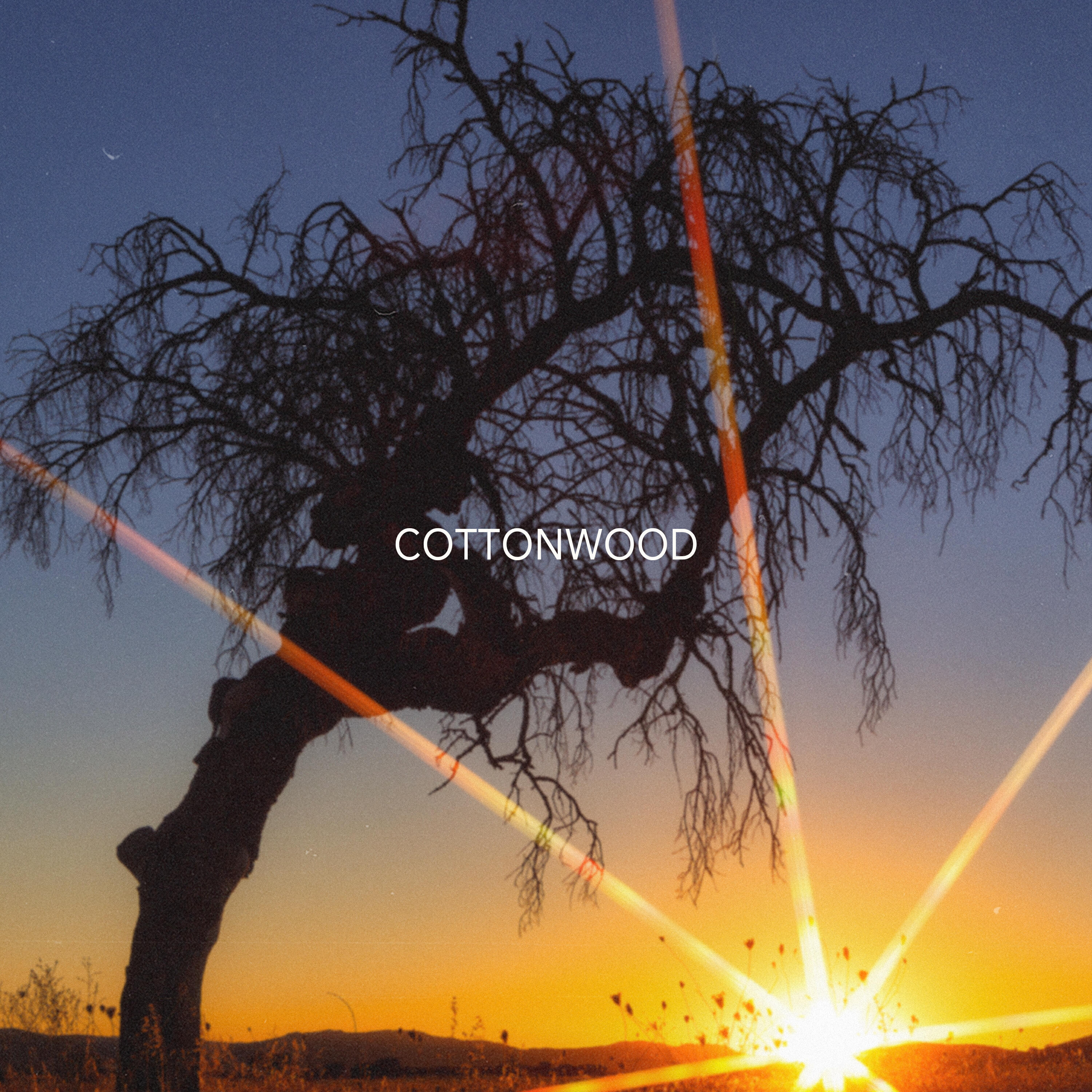 Релиз cottonwood