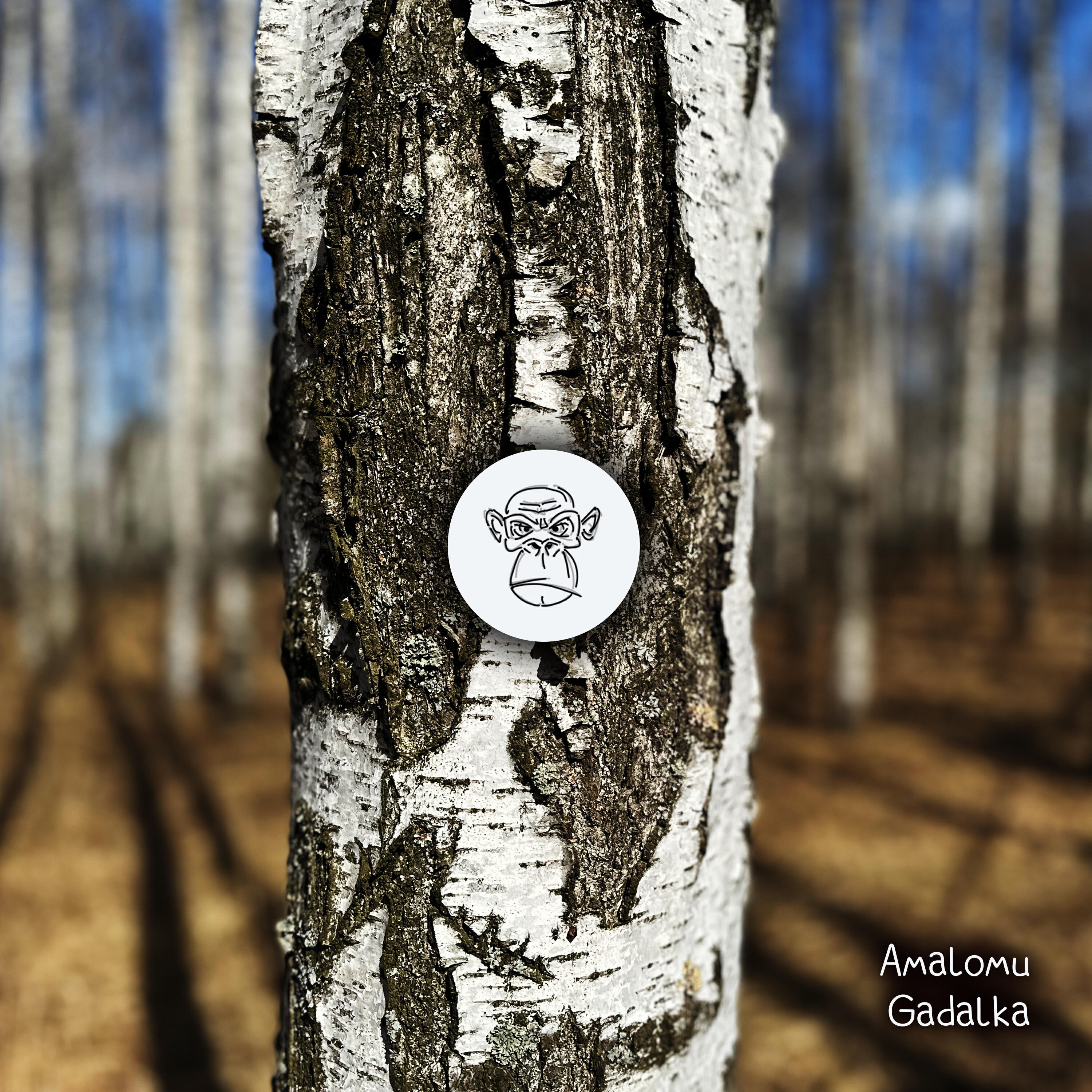 Релиз Gadalka