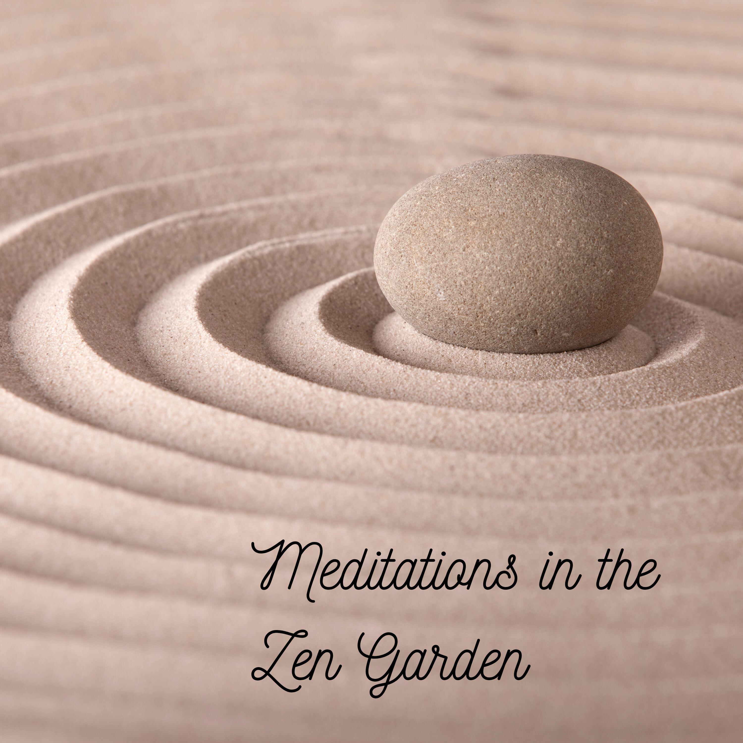 Релиз Meditations in the Zen Garden