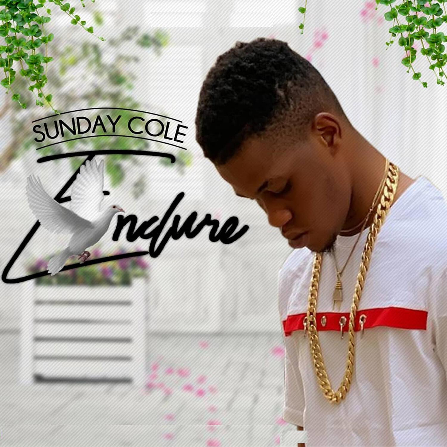 Релиз Endure