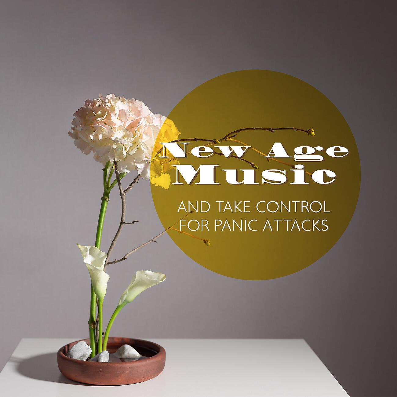 Релиз New Age Music and Take Control for Panic Attacks
