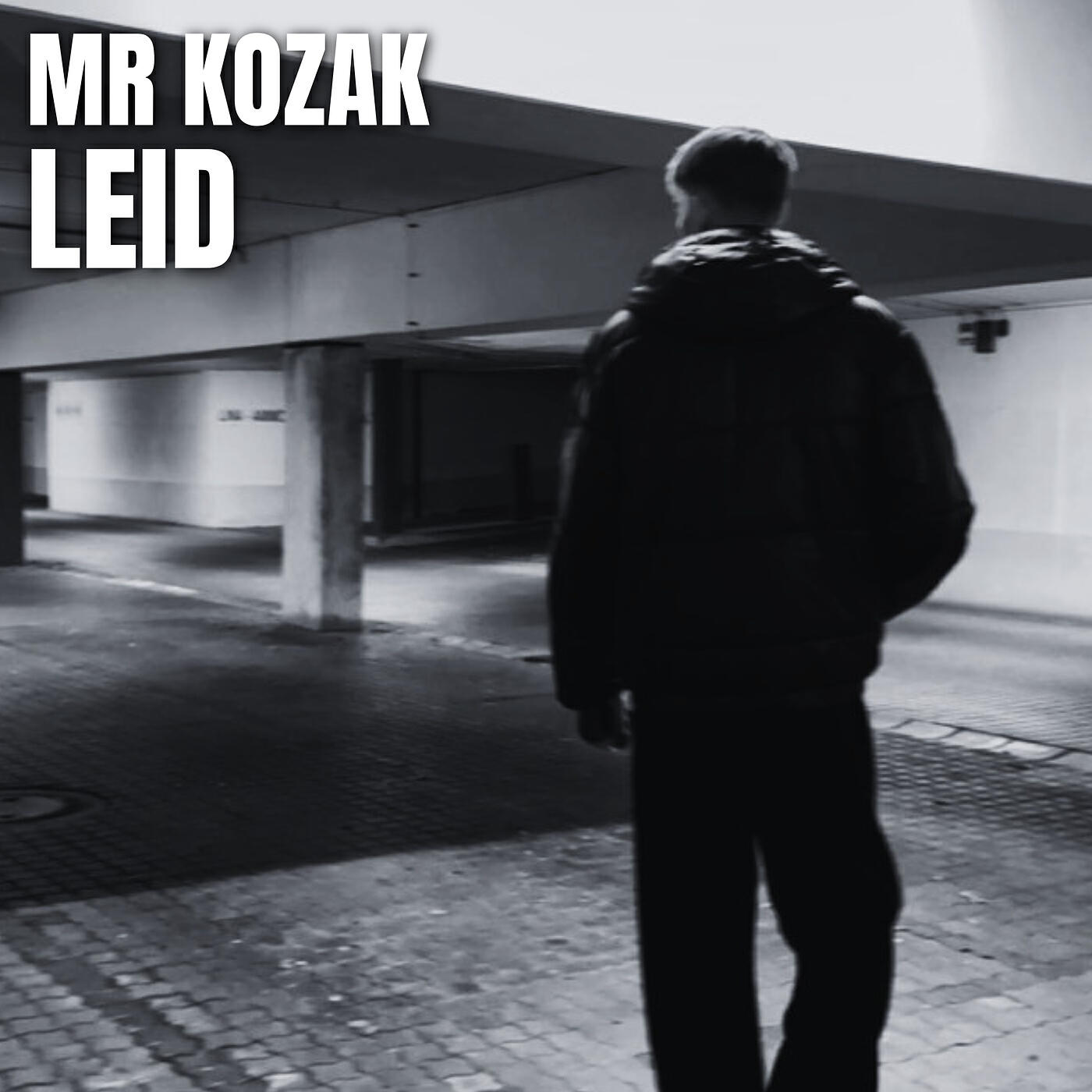 Релиз Leid
