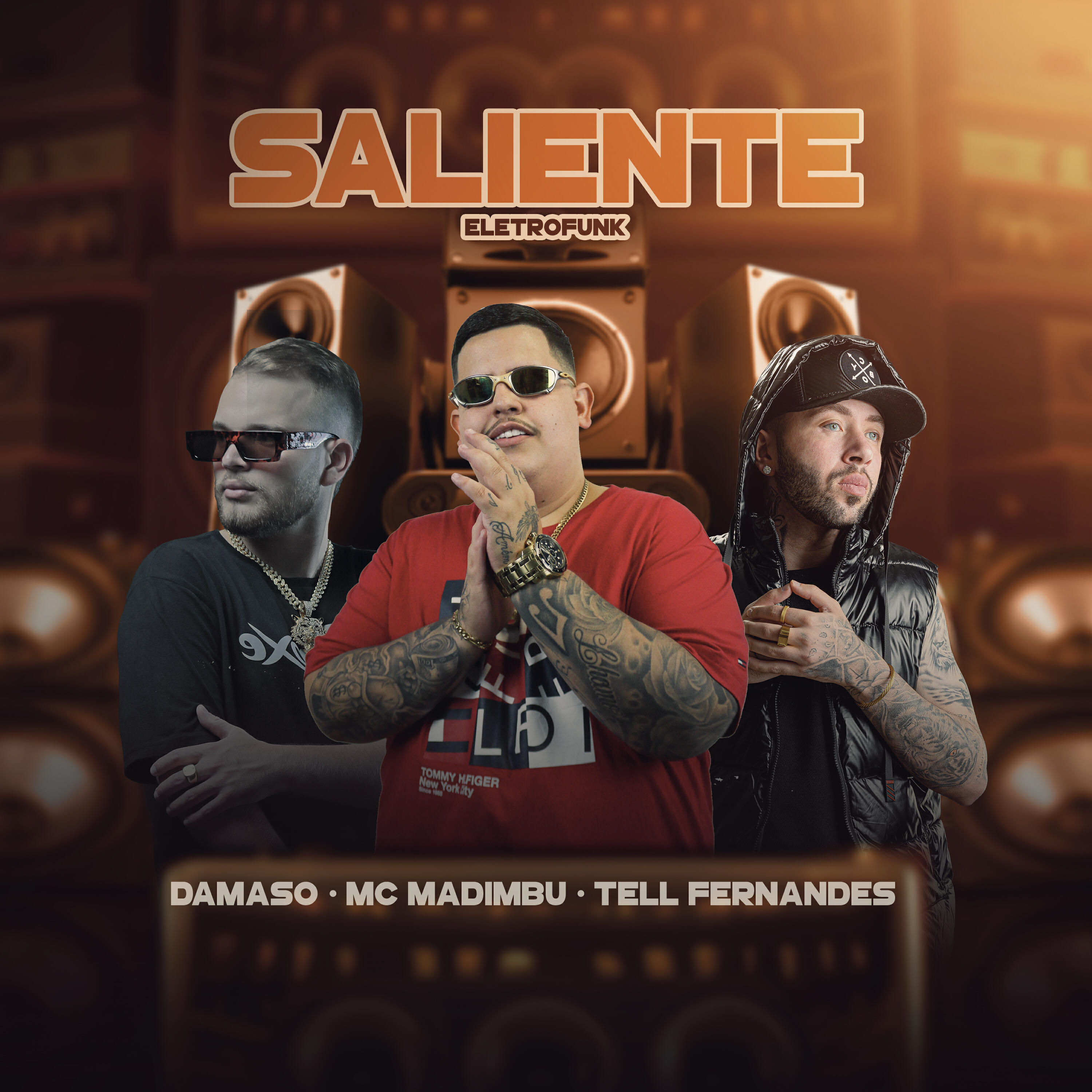 Скачать песню Damaso, MC Madimbu, DJ TELL FERNANDES - Saliente Eletrofunk бесплатно в MP3 для Android и iOS