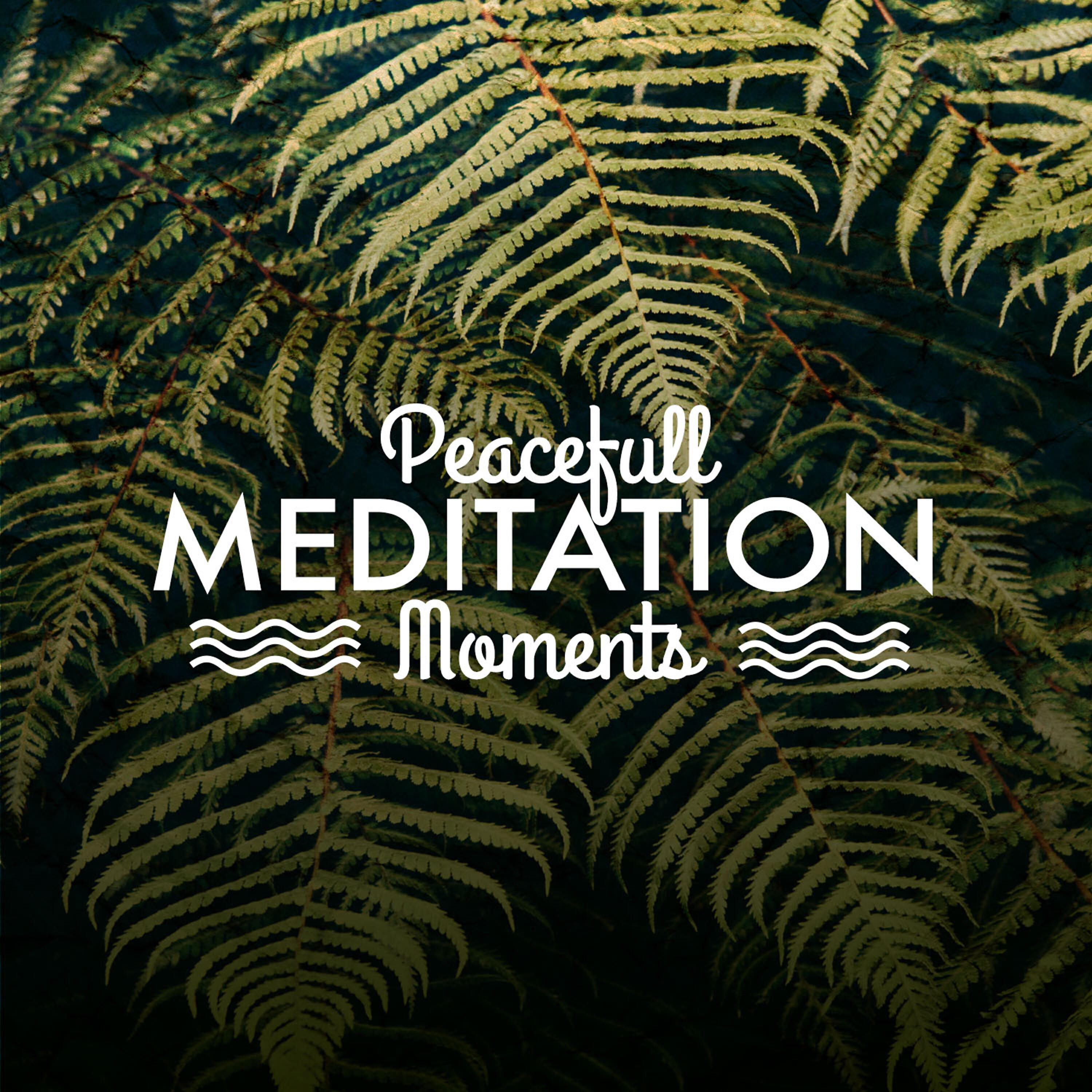 Релиз Peaceful Meditation Moments