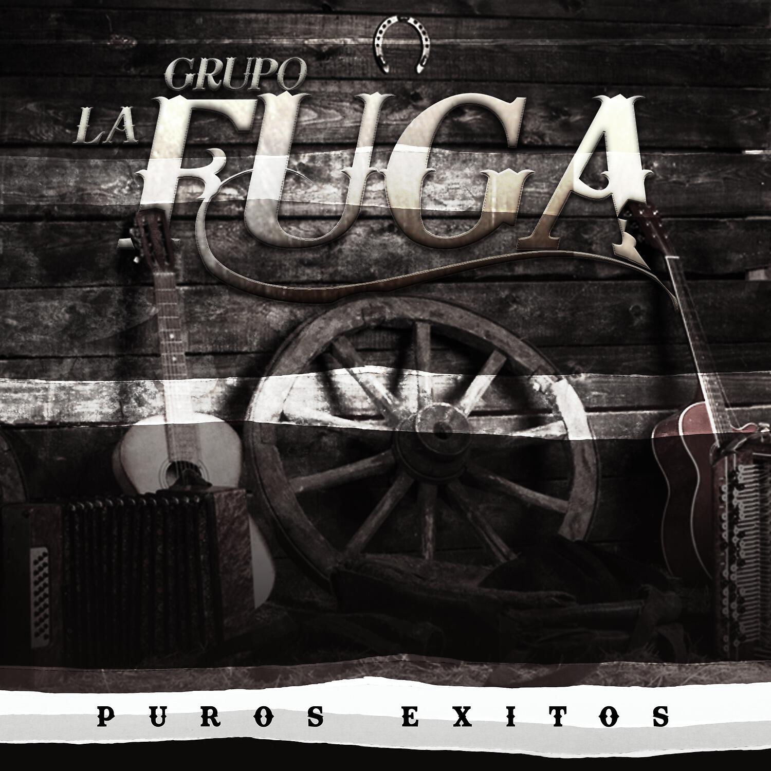 Релиз Puros Exitos