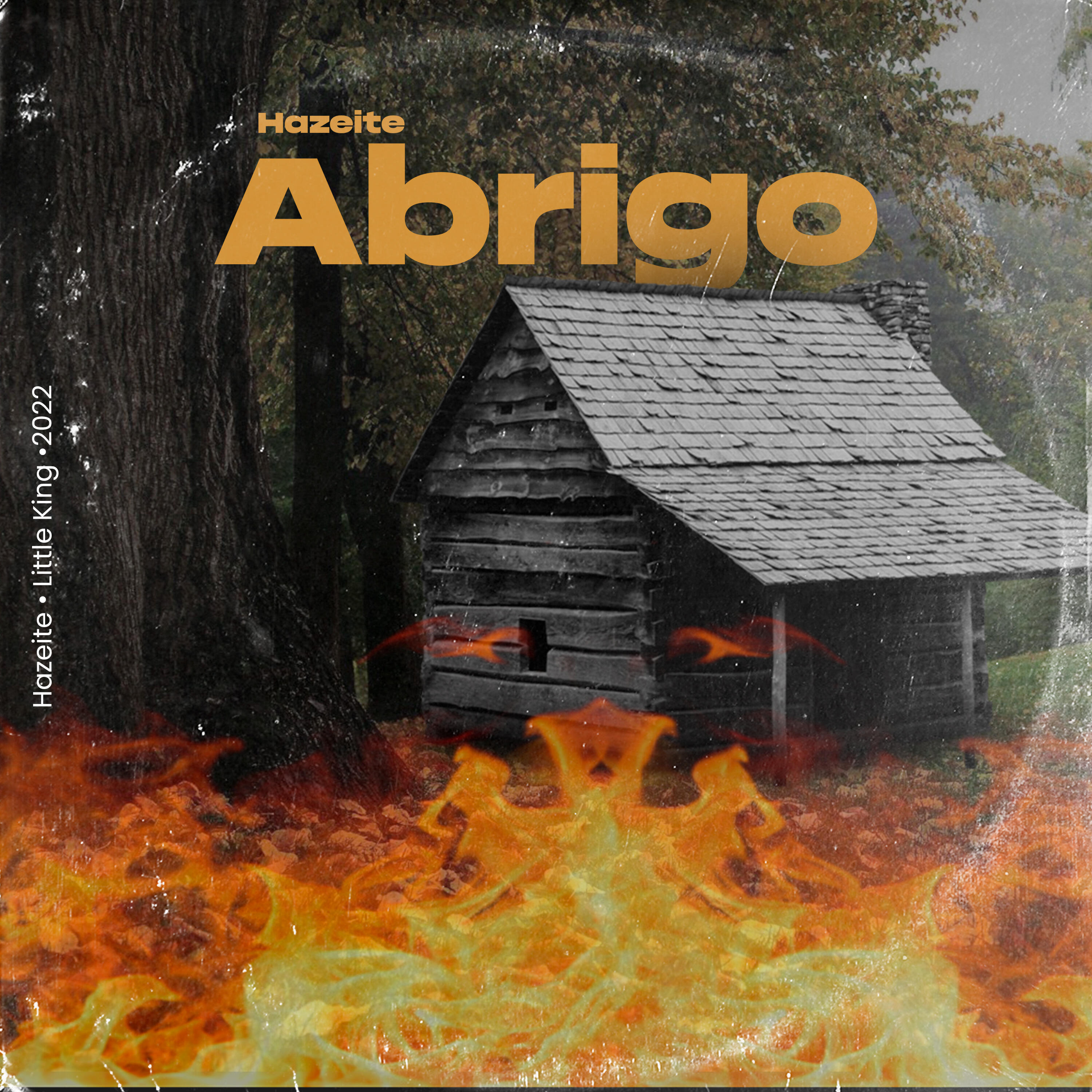 Релиз Abrigo
