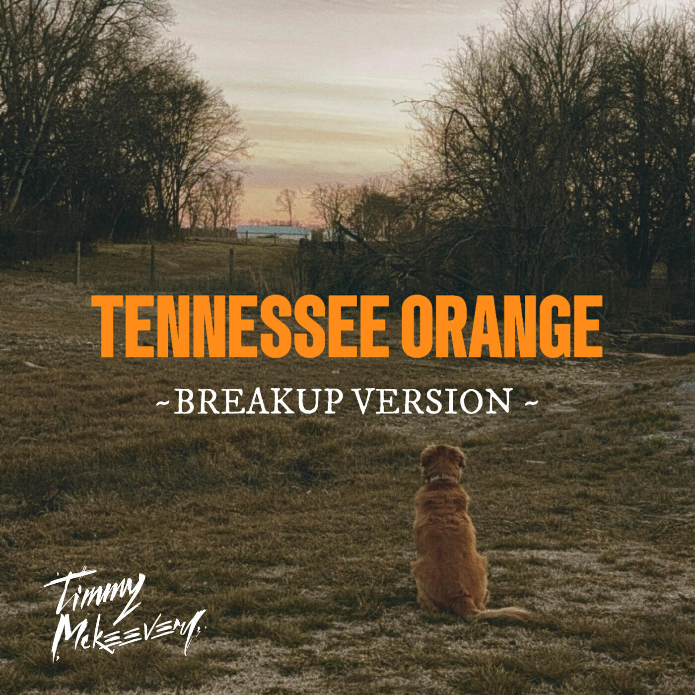 Релиз Tennessee Orange (Breakup Version)