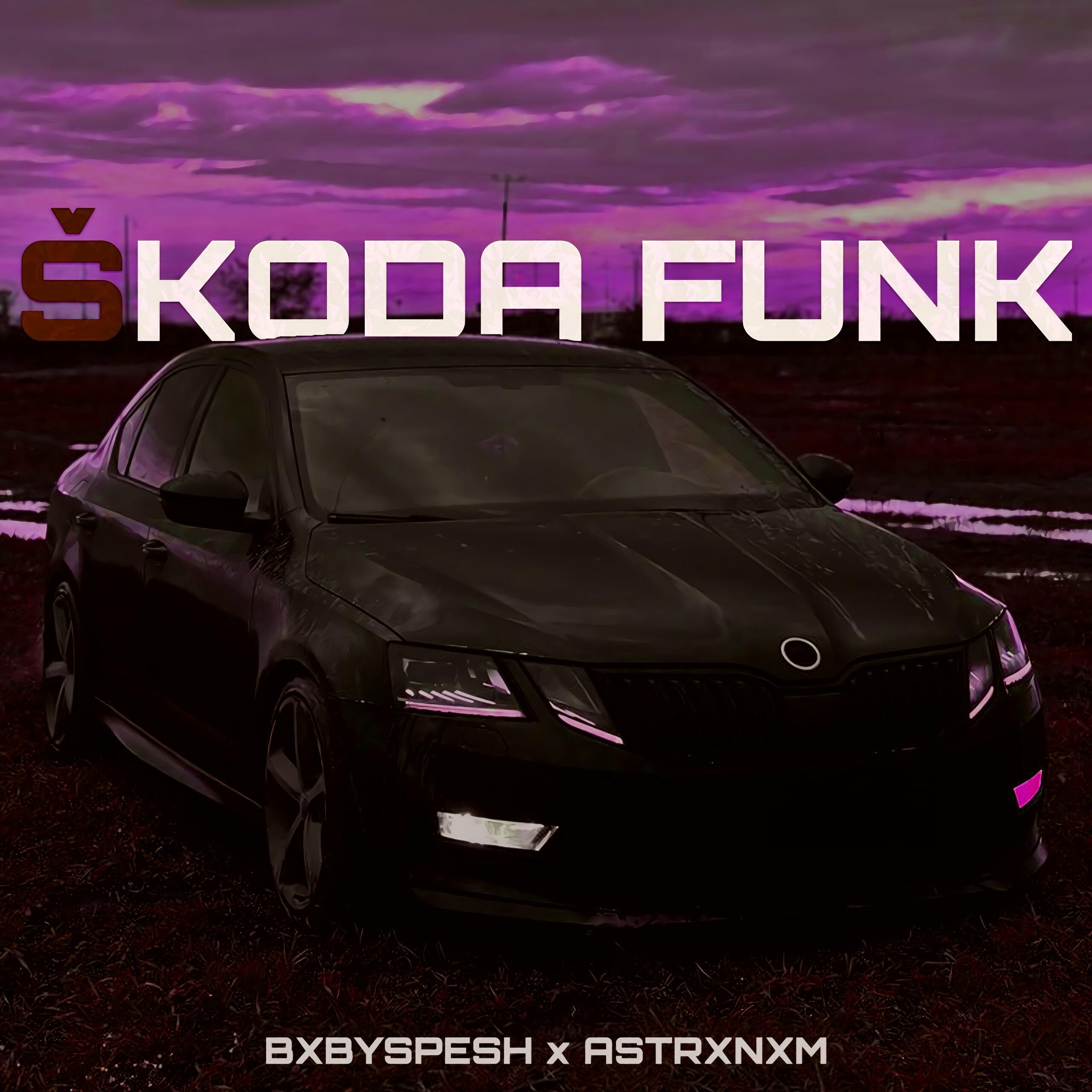 Релиз SKODA FUNK (Slowed version)